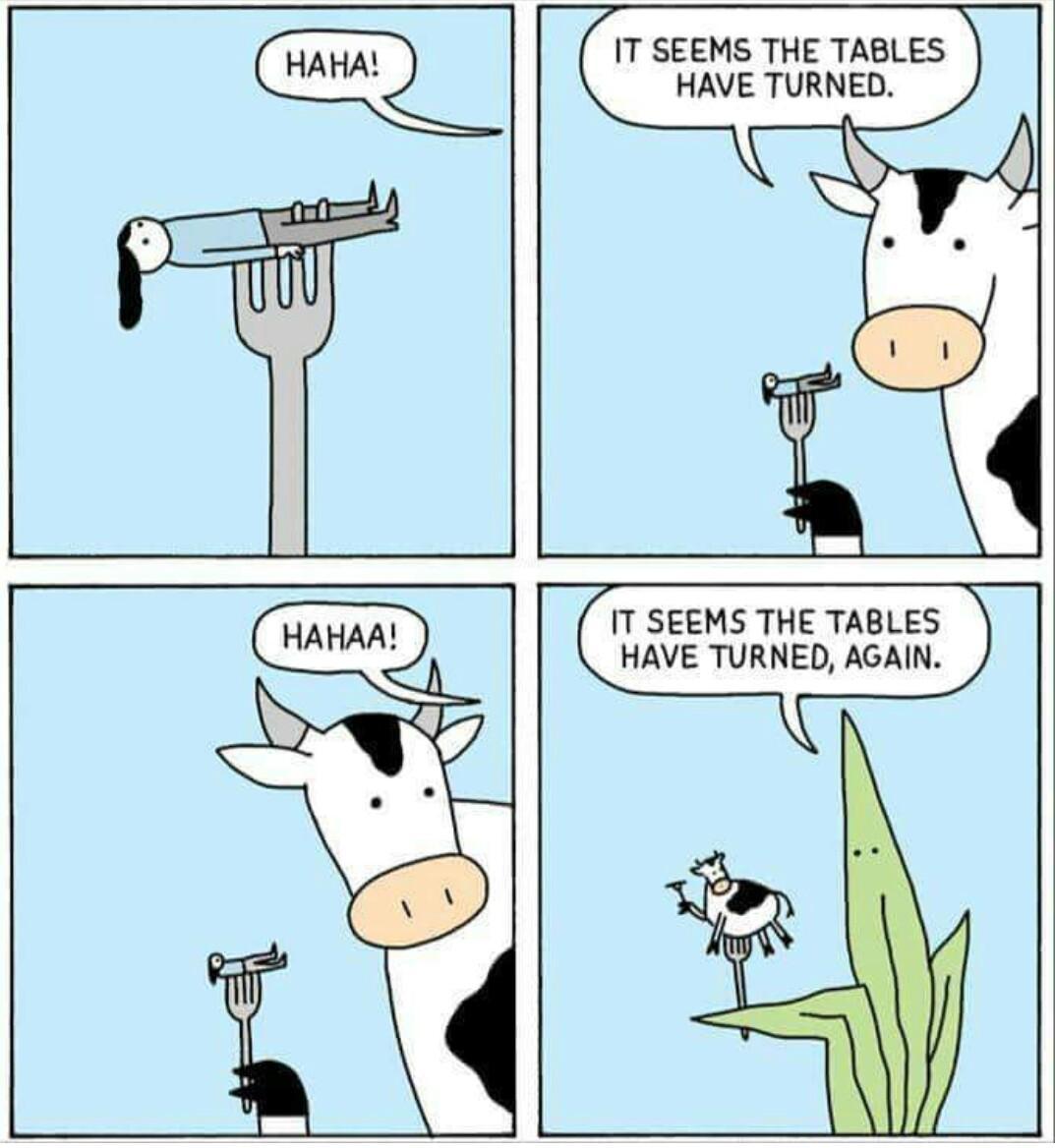 Perhaps Cow Meme Deep Fried