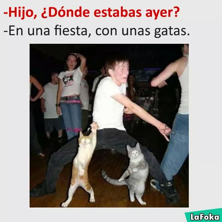 Llego el pavo Meme subido por Patotroll ) Memedroid