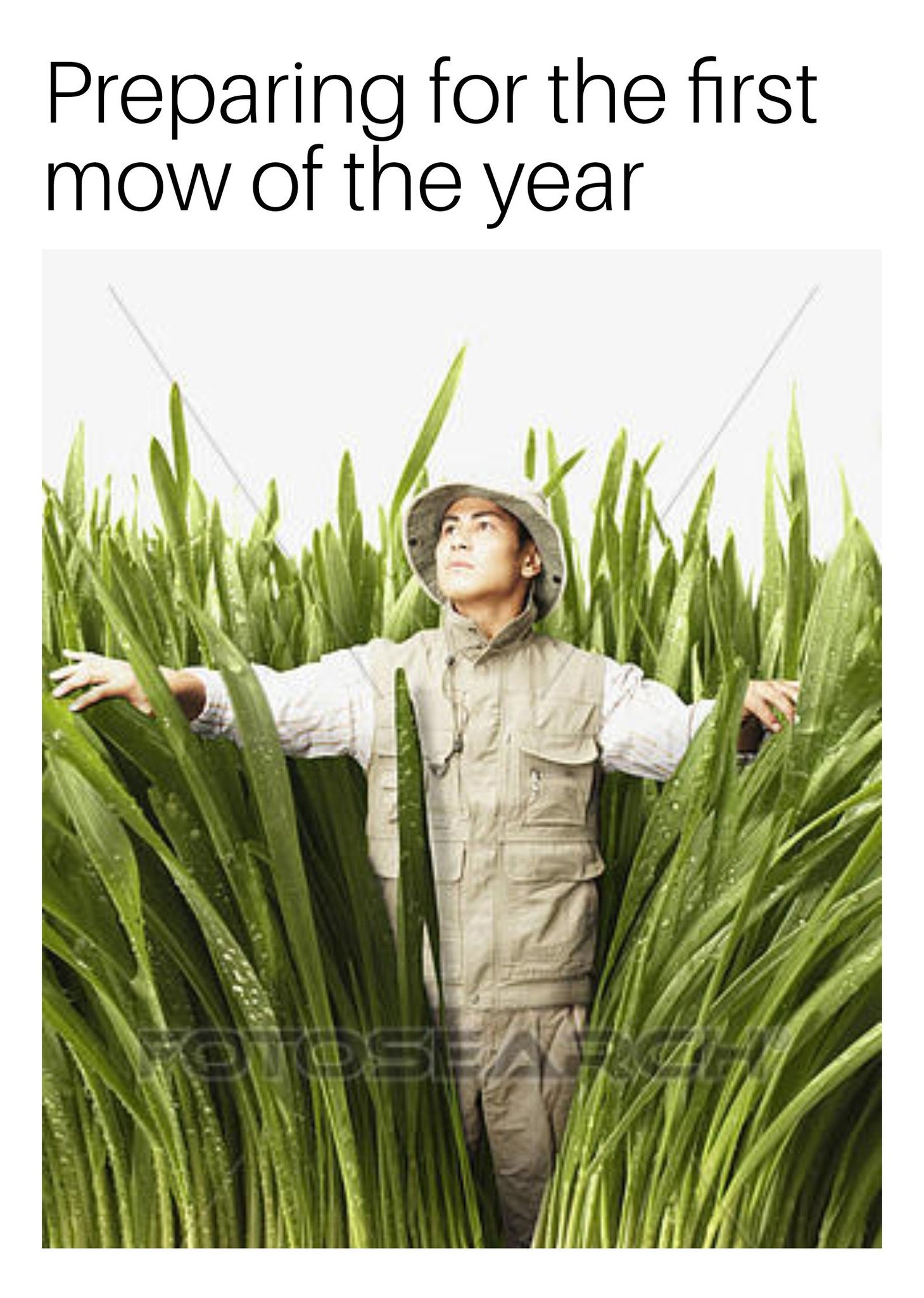 Safari time Meme by NapTown ) Memedroid