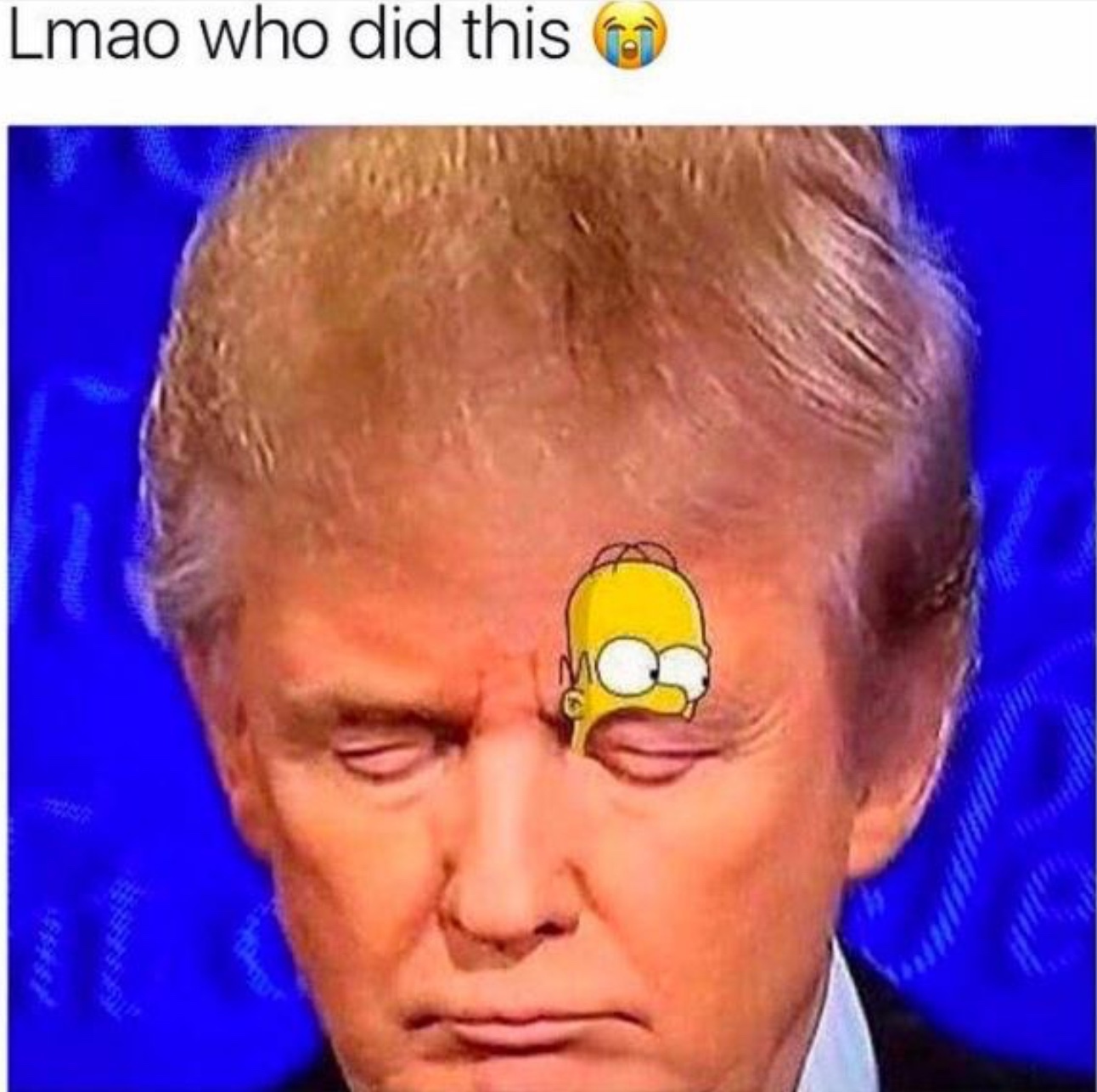 Donald (Simpson) Trump Meme by FakeMeme ) Memedroid