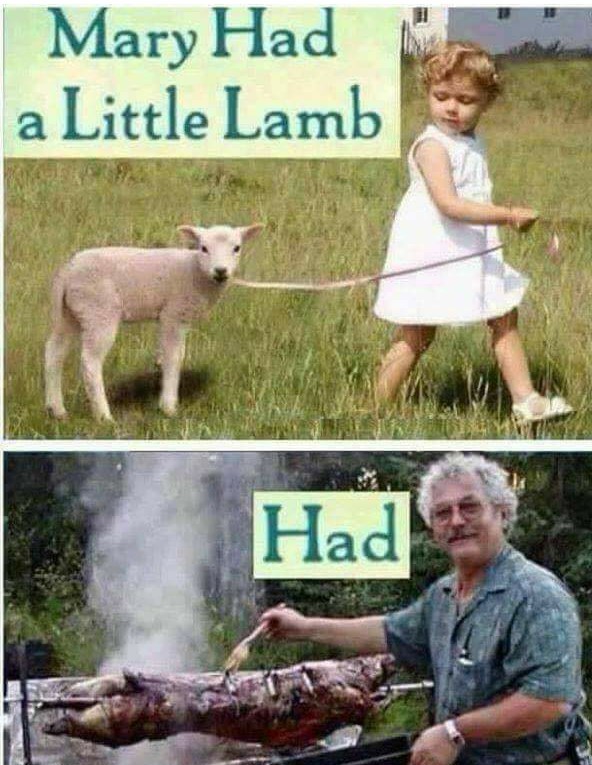 Dinner is served Meme by audilover23 ) Memedroid