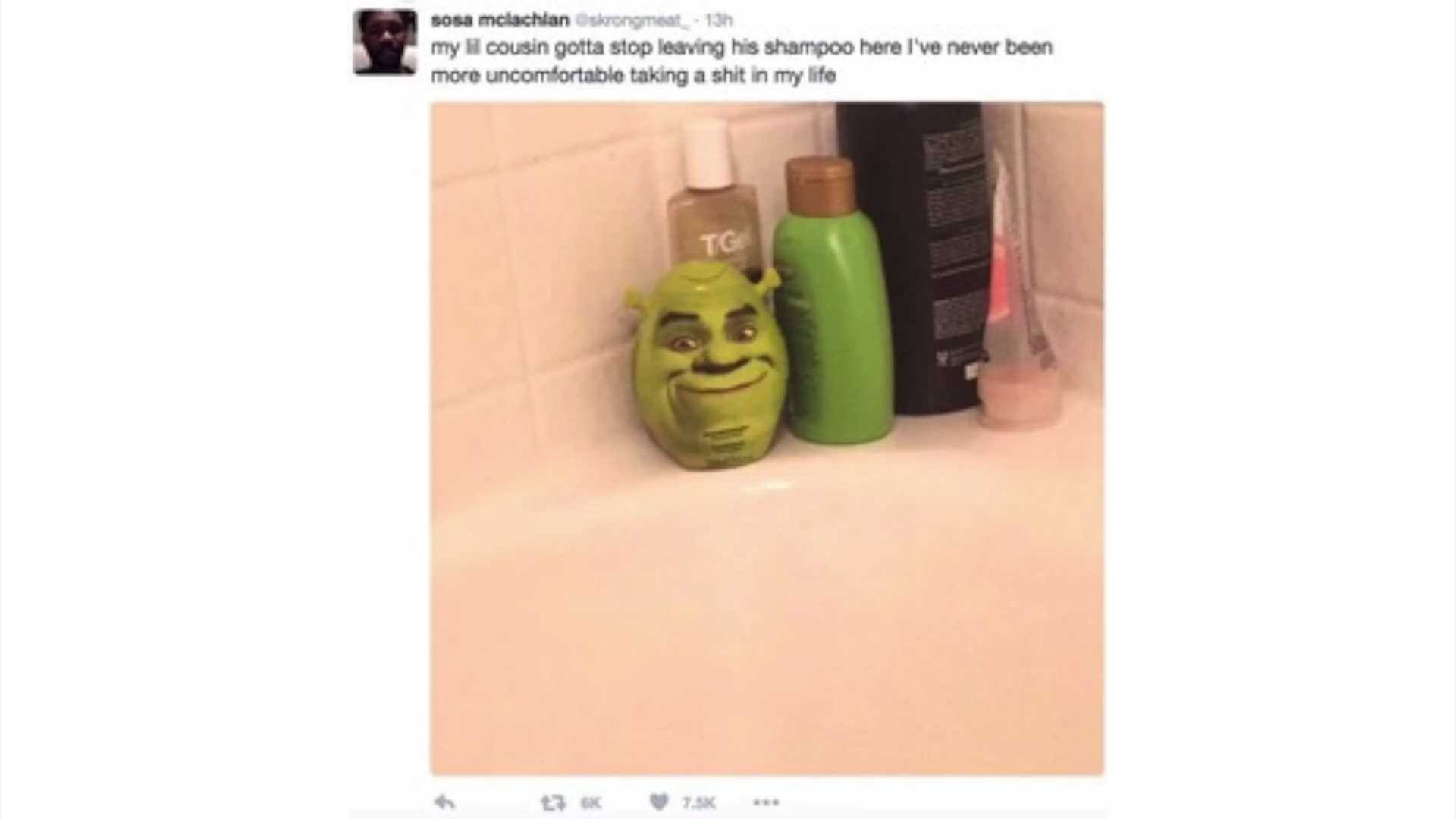 shamPOO Meme by Osteos ) Memedroid