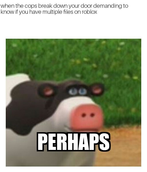 Perhaps cow Meme by Wesley_Adams ) Memedroid