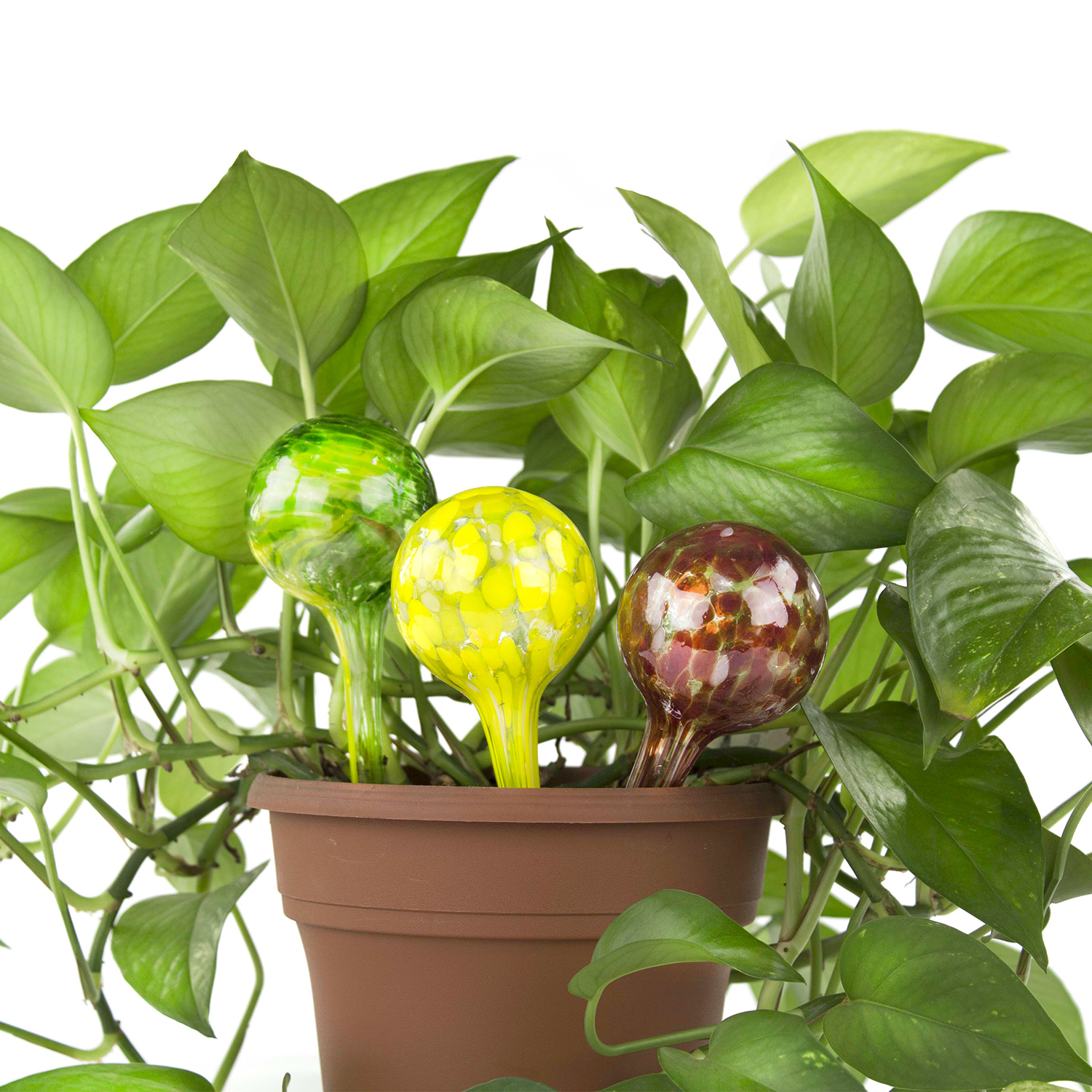 Aqua Globes Mini Plant Watering Glass Bulbs Stylish Plant Watering