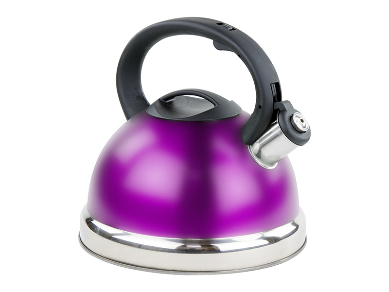 Stainless Steel Whistling Tea Kettle Tea Maker Pot 2.8 Liters