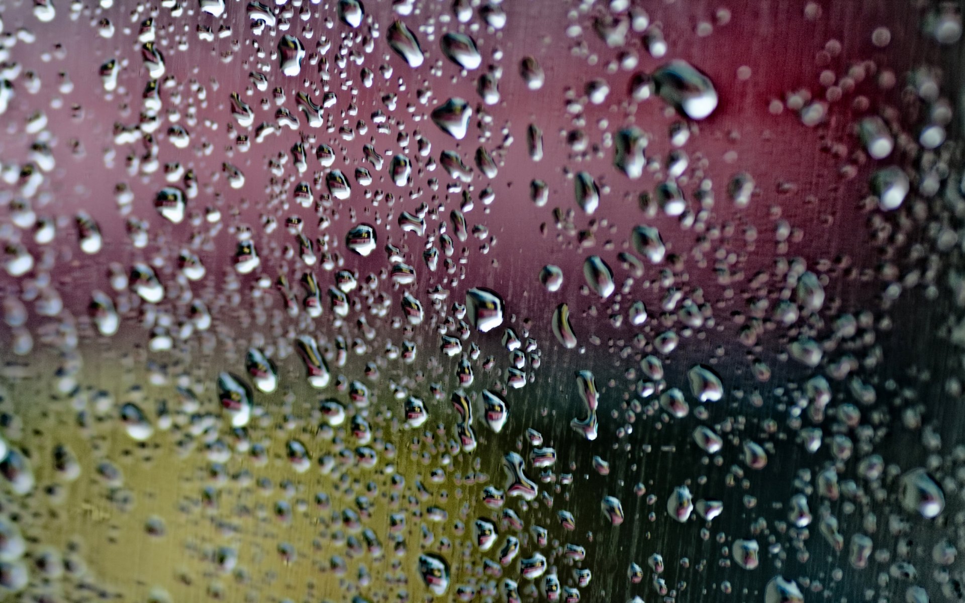 Photography Raindrops HD Wallpaper Background Image 2560x1600