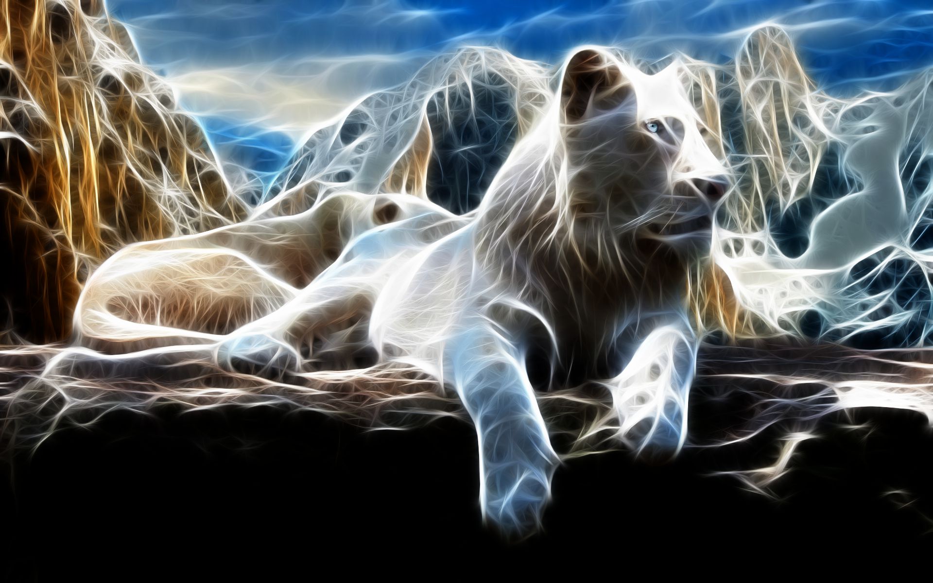 Download Animal White Lion HD Wallpaper