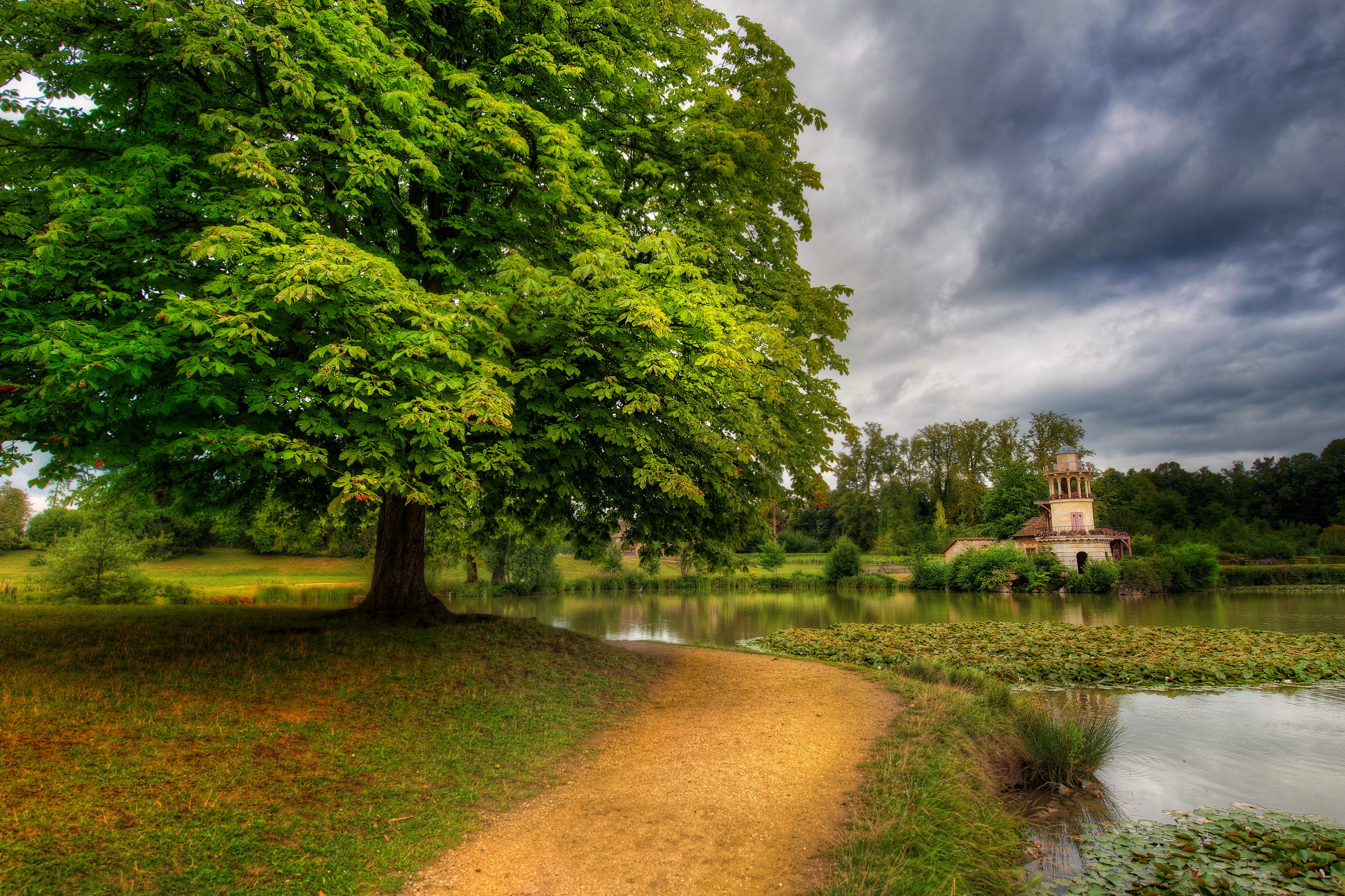 Download Photography Park HD Wallpaper