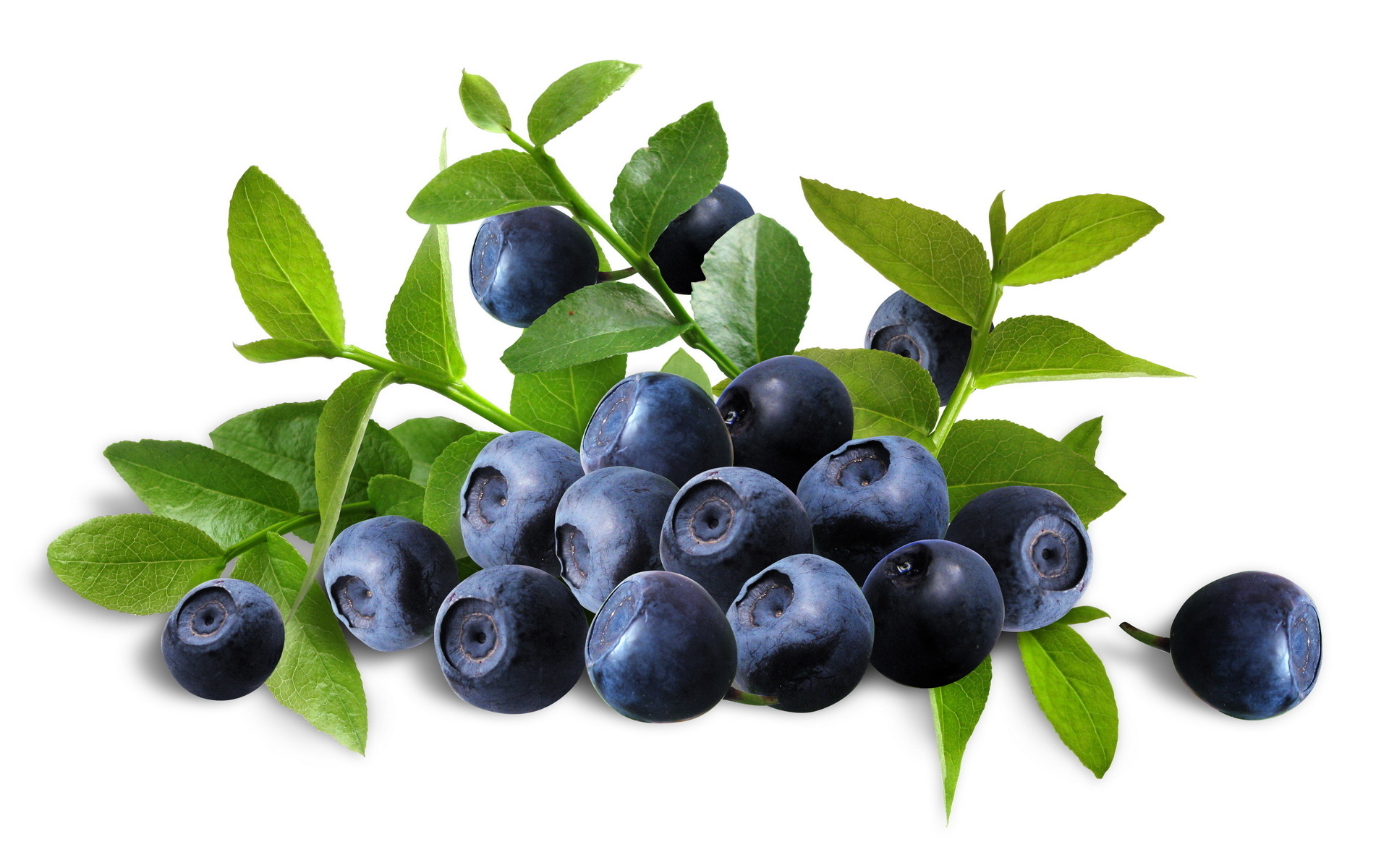 Blueberry Wallpaper