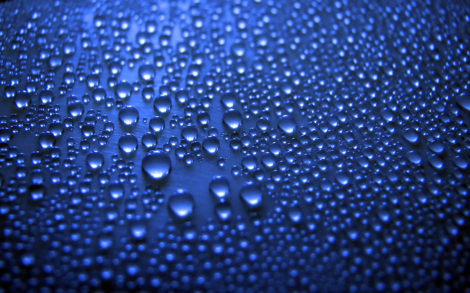 Raindrops Full HD Wallpaper and Background Image 1920x1200 ID447309