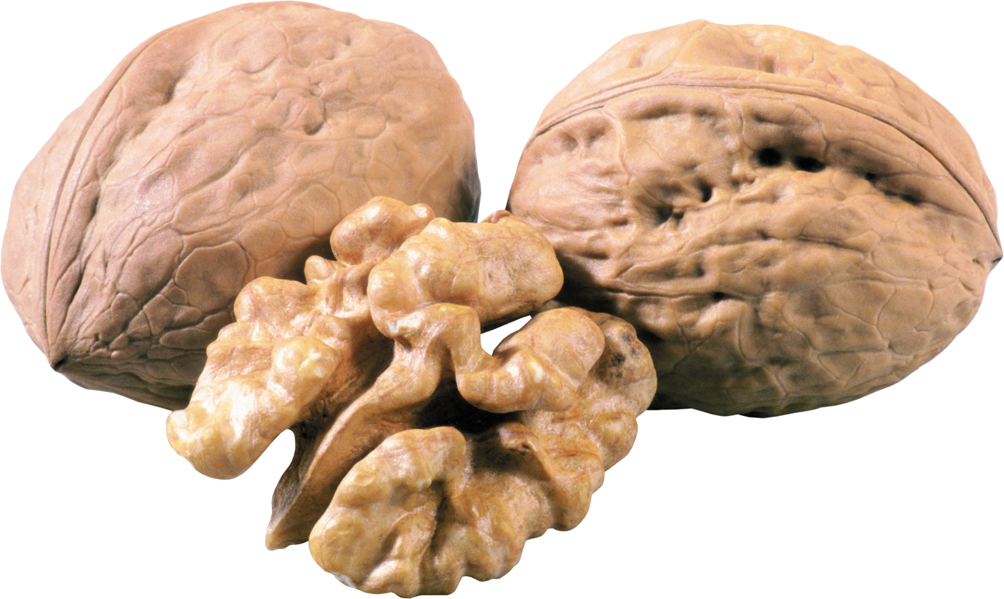 Download Food Walnut HD Wallpaper