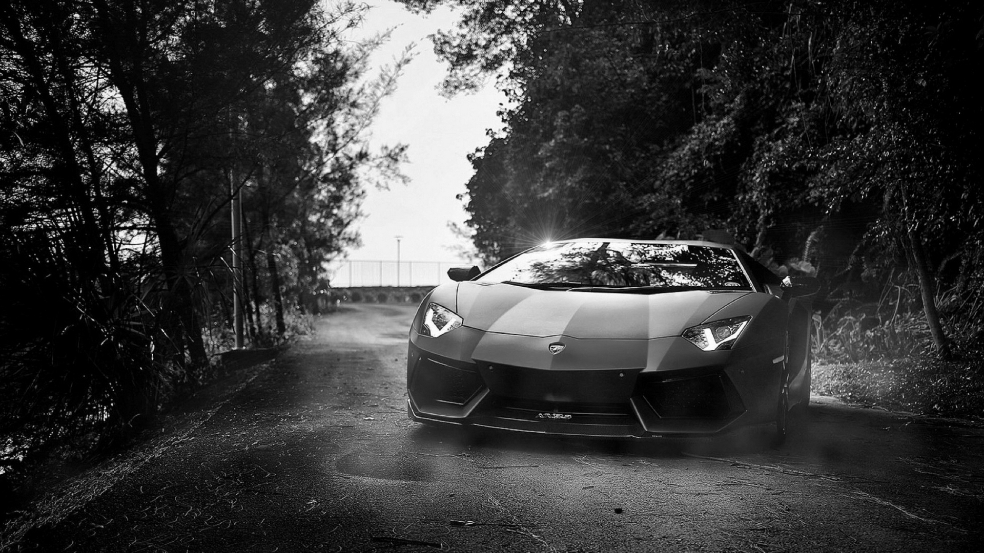Download Vehicle Aventador HD Wallpaper