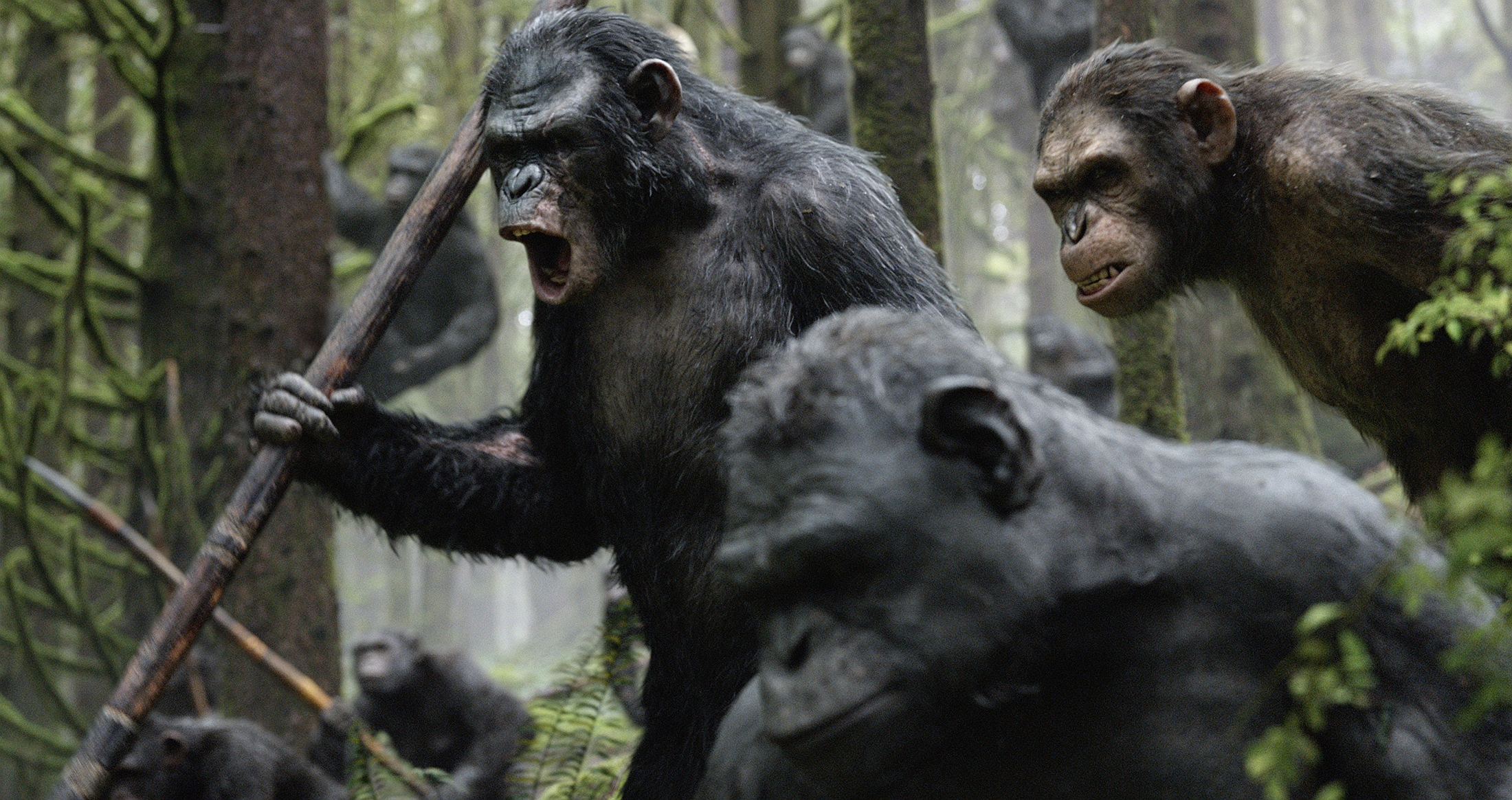 Dawn Of The Of The Apes HD Wallpaper Background
