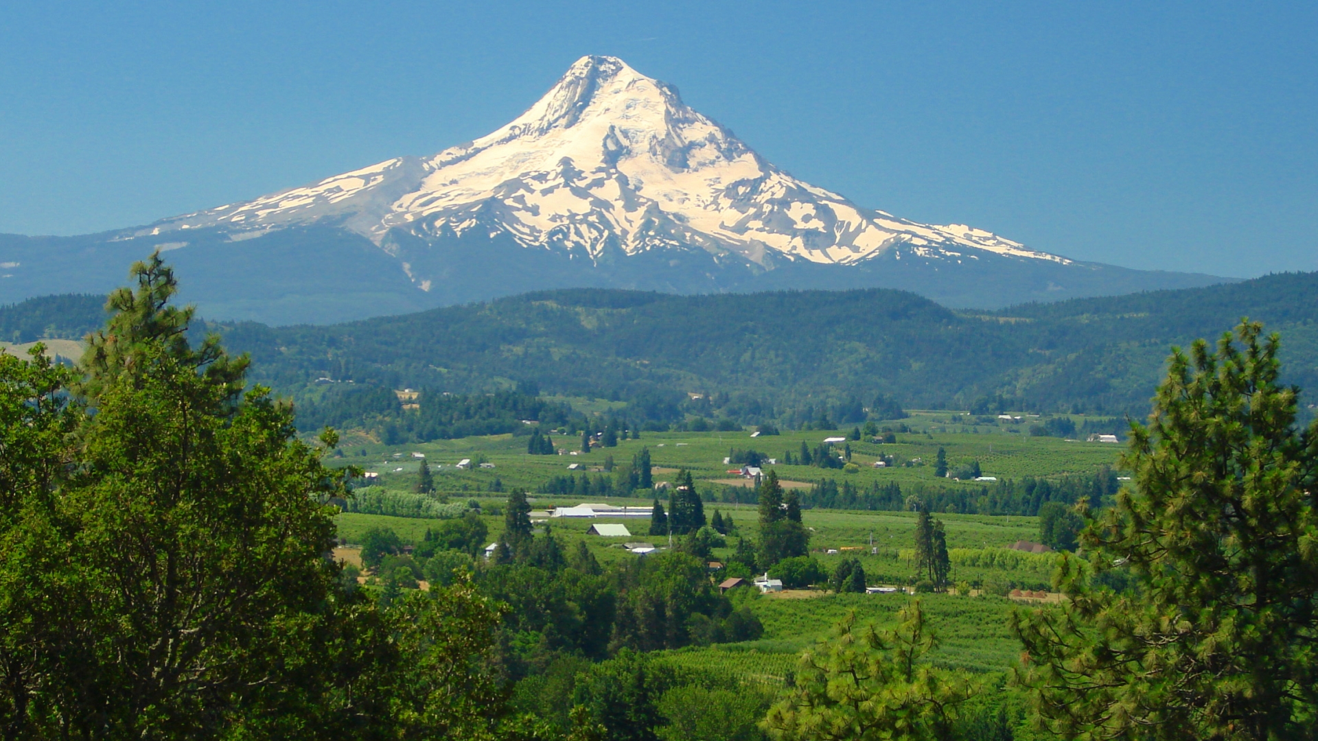 Download Nature Mount Hood HD Wallpaper