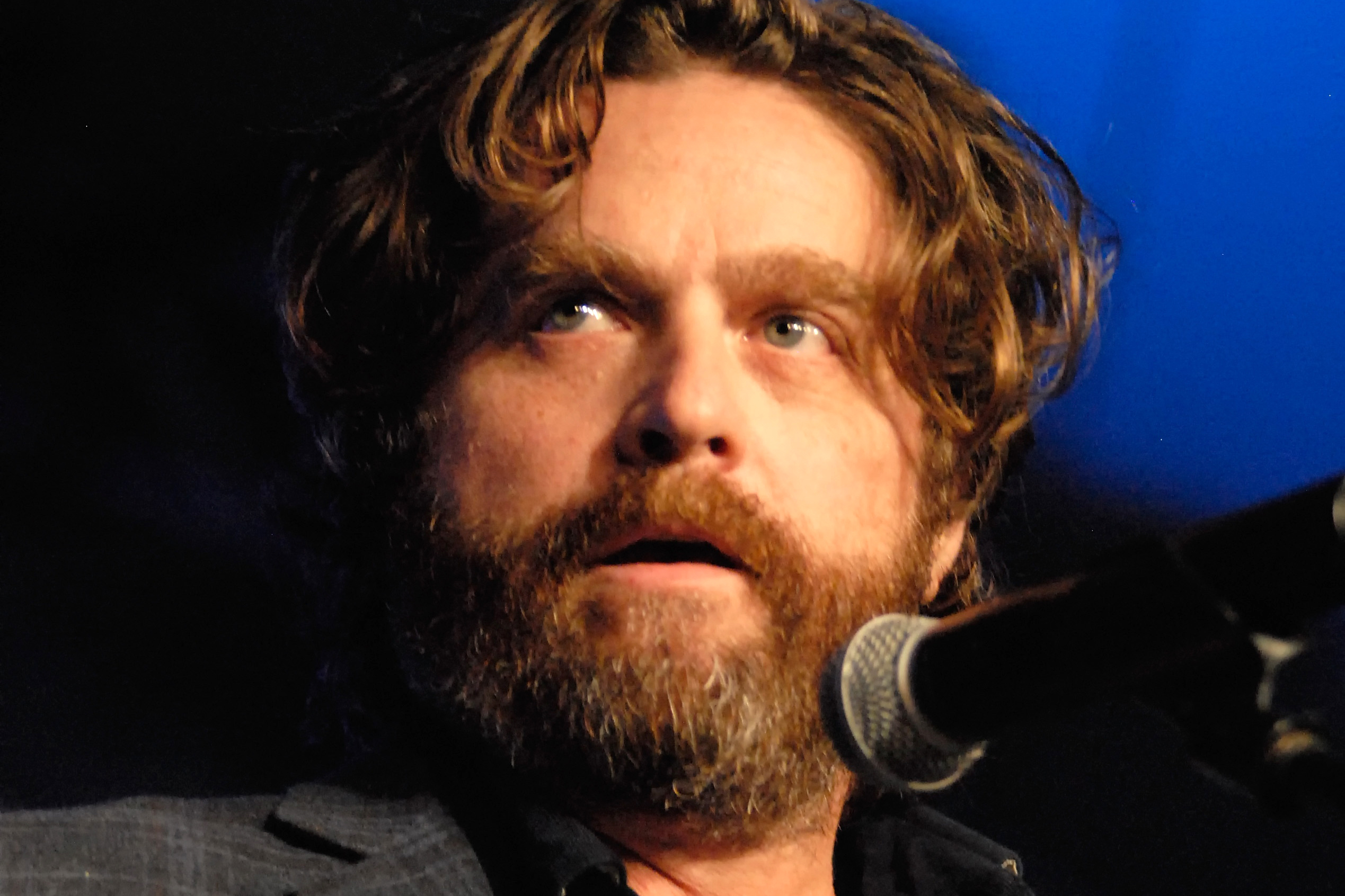 Celebrity Zach Galifianakis HD Wallpaper