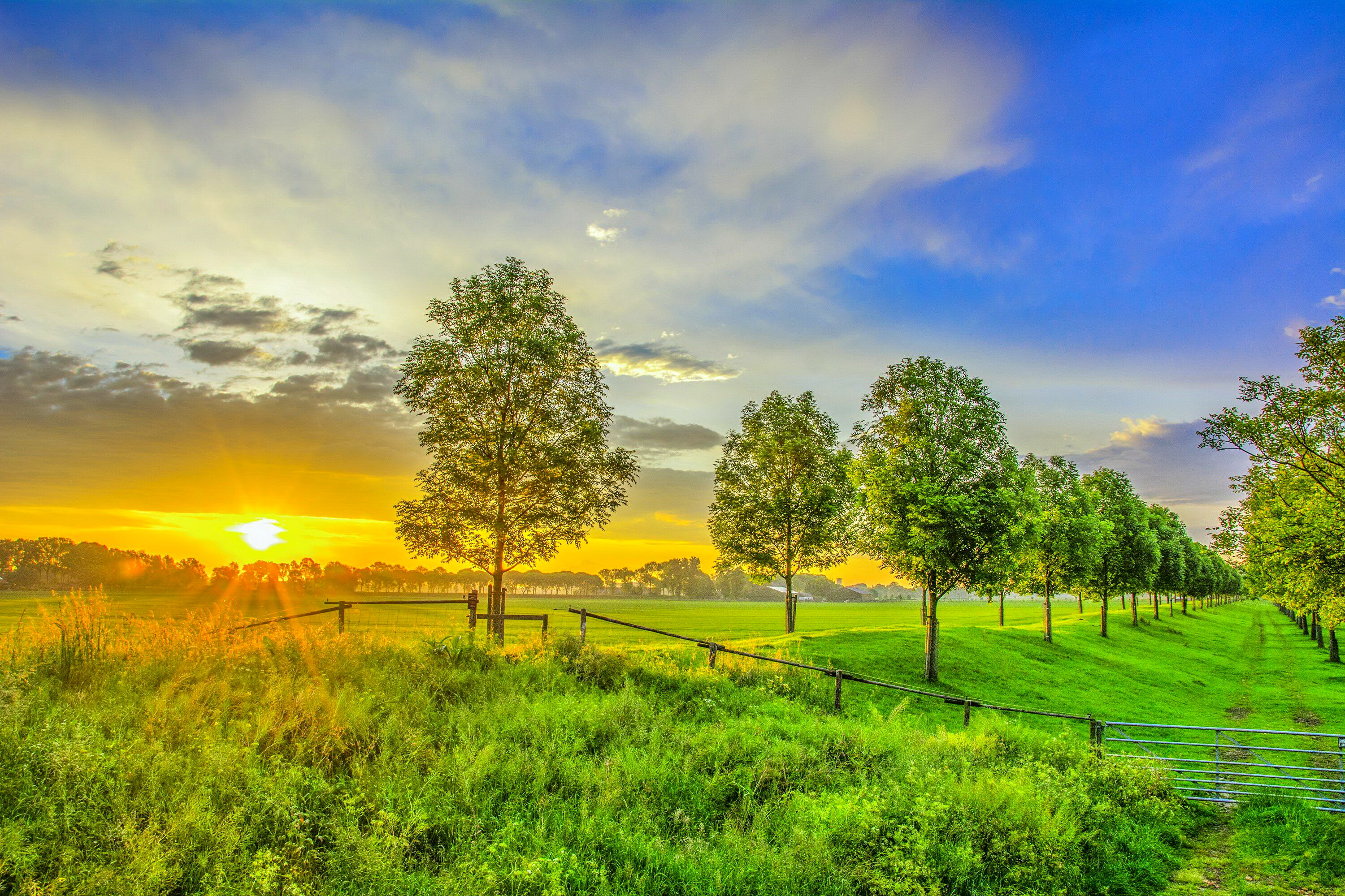Summer Sunset Serene Countryside HD Wallpaper