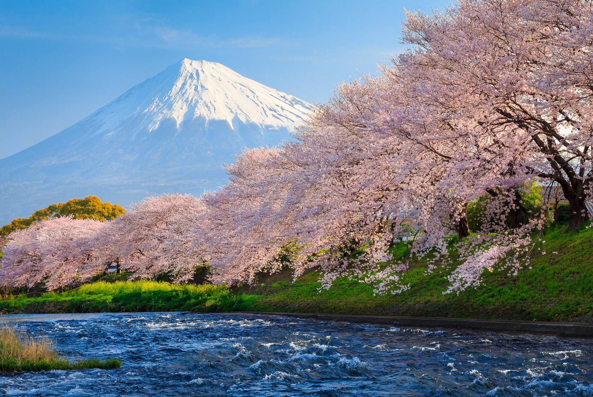Mount Fuji HD Wallpaper Background Image 1920x1285 ID609072