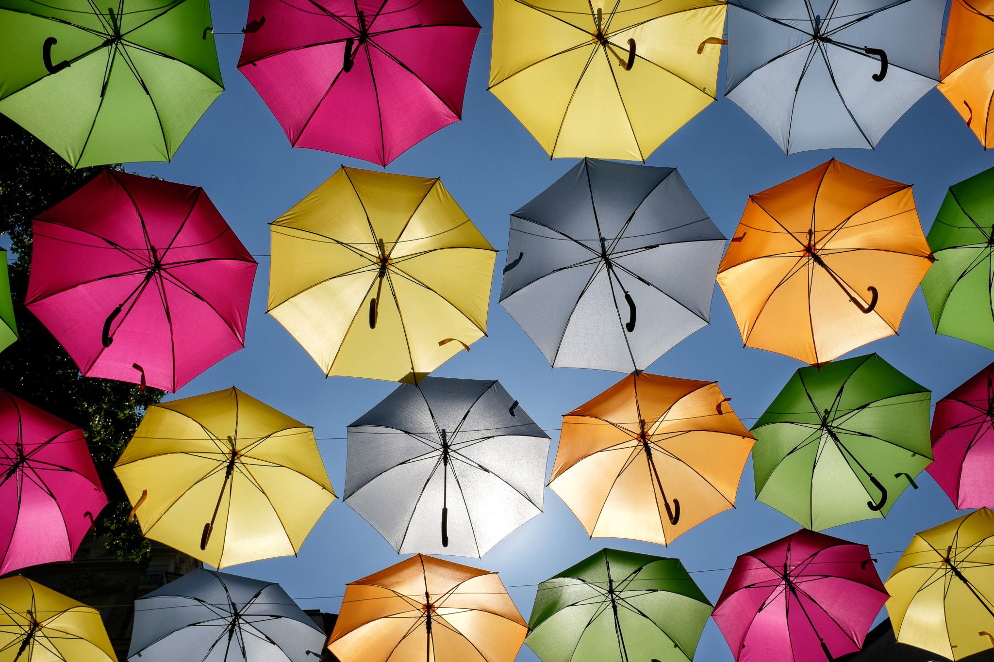 Download Photography Umbrella HD Wallpaper