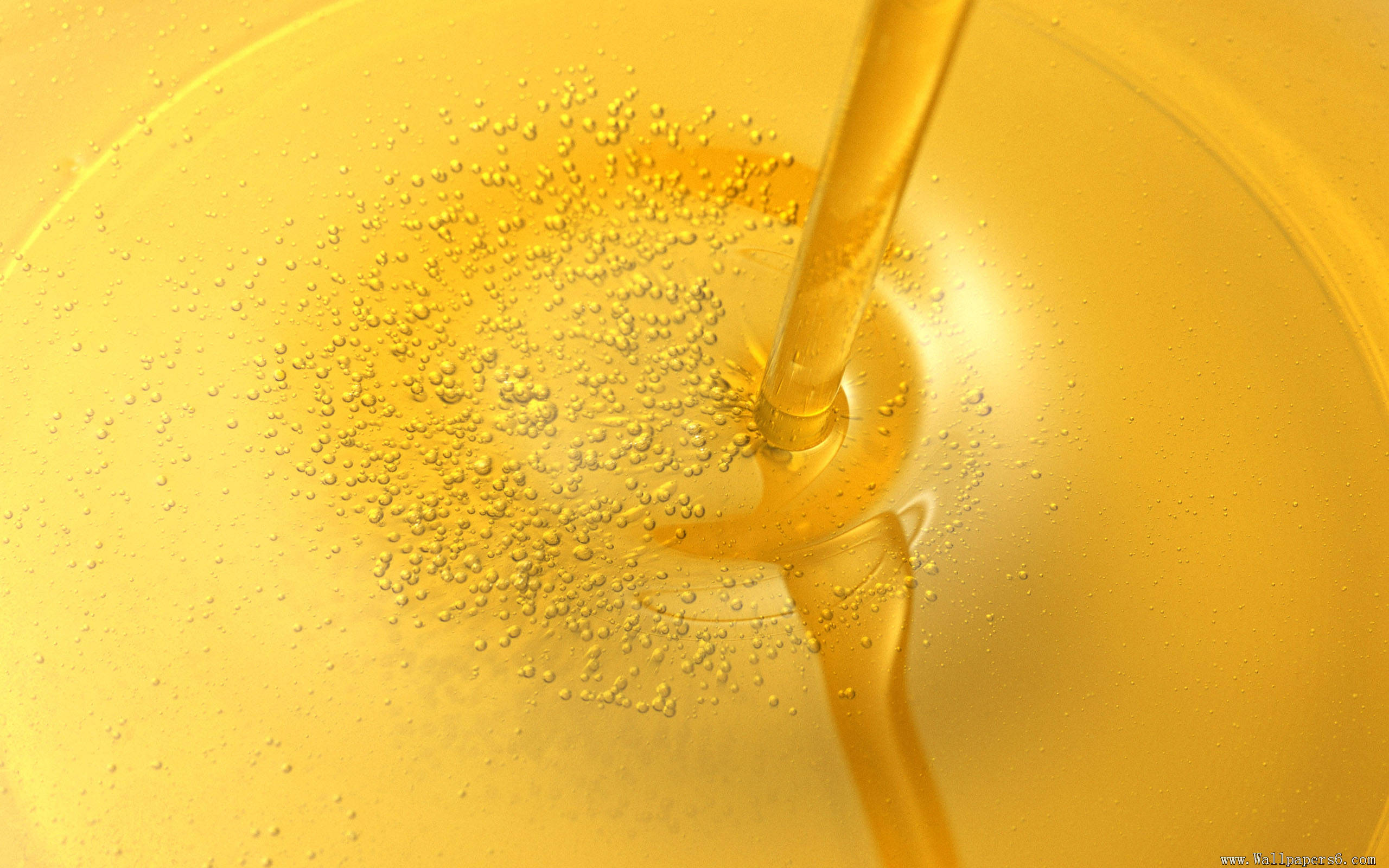 Oil Full HD Wallpaper and Background Image 2560x1600 ID659166