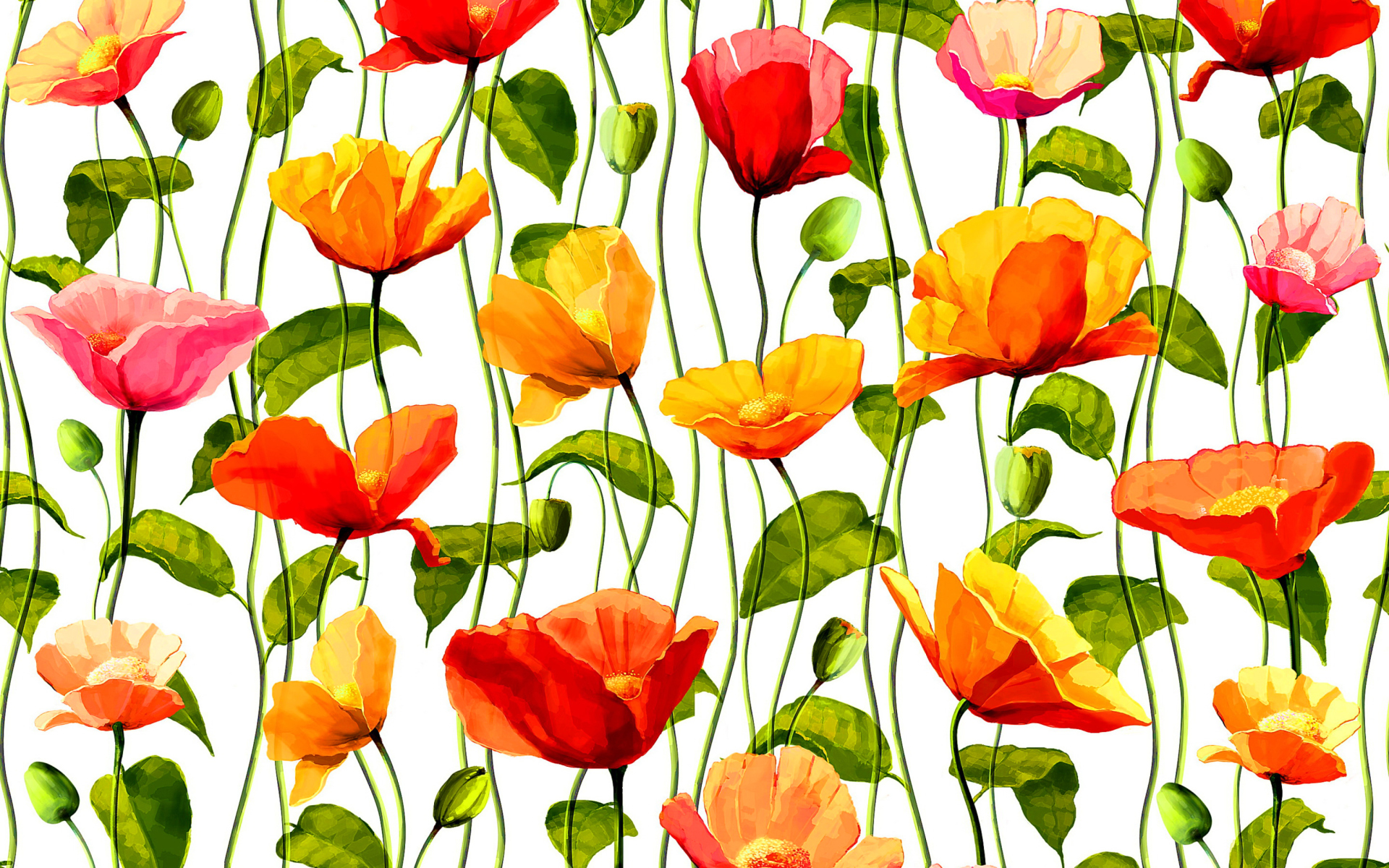 Download Vine Colorful Colors Poppy Artistic Flower HD Wallpaper