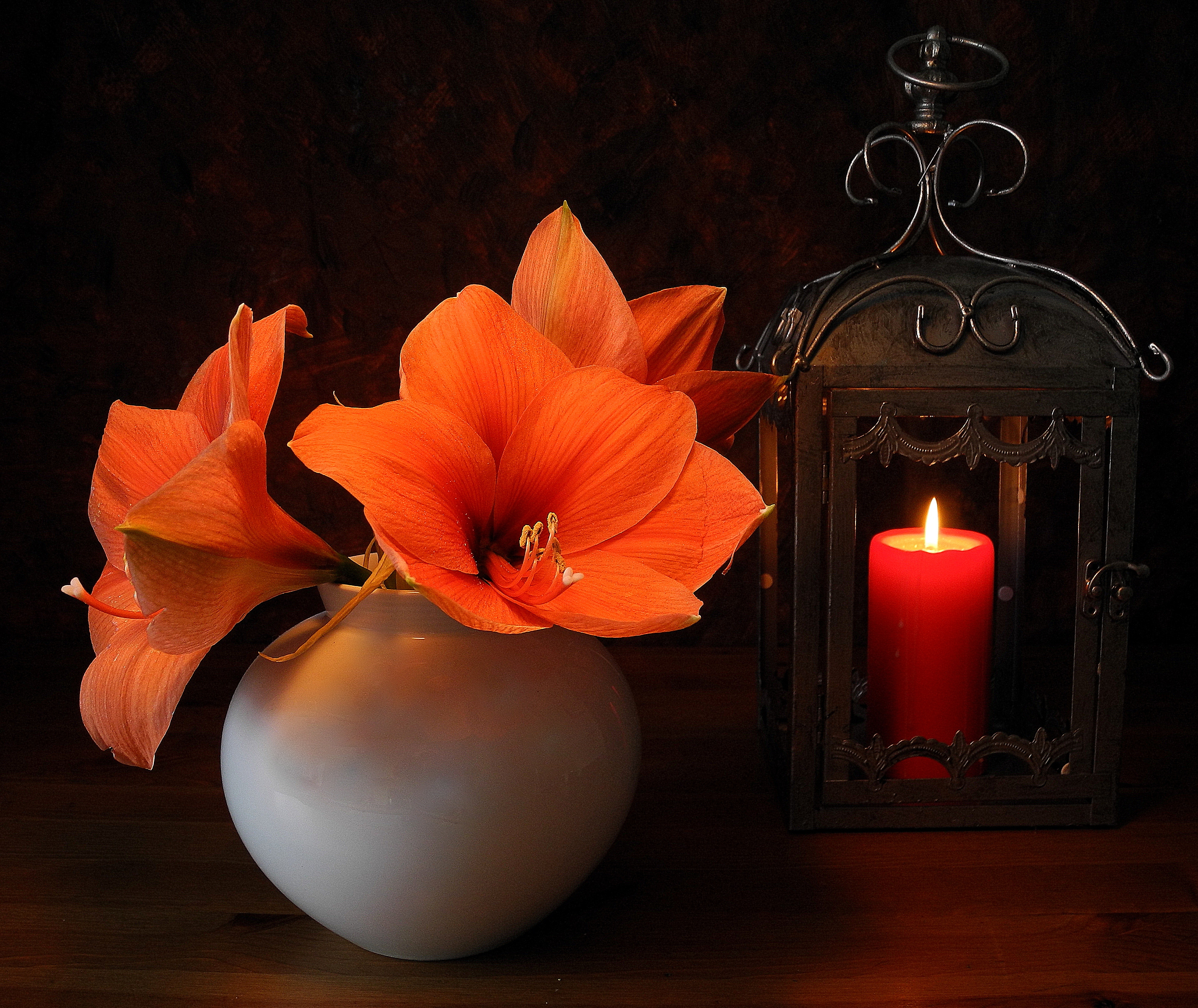 Download Orange Flower Candle Lamp Lantern Vase Lily Photography Still
