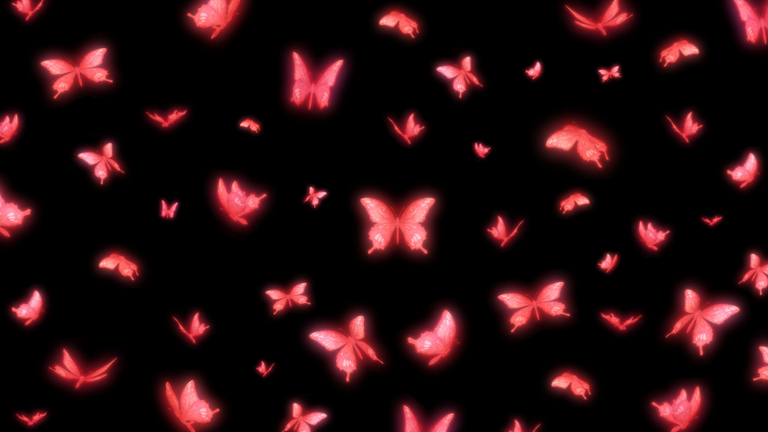 Download Pink Artistic Butterfly HD Wallpaper