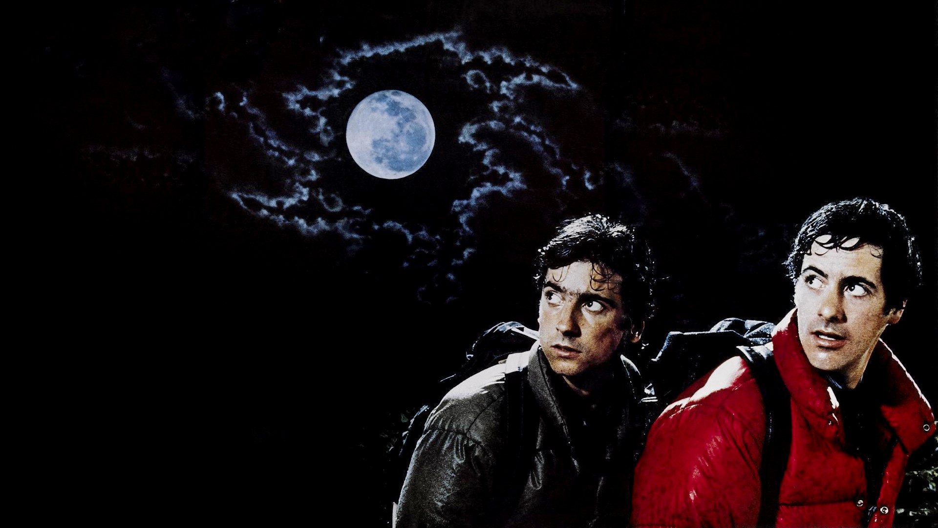 An American Werewolf In London (1981) HD Wallpaper