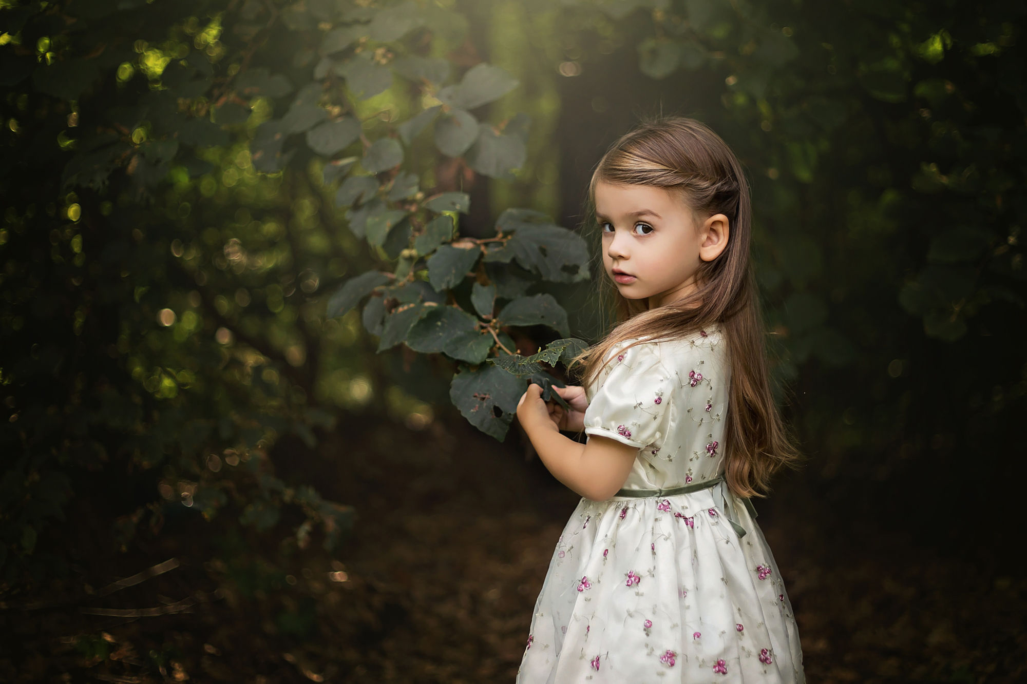 Enchanting Moment Little Girl in Dress HD Wallpaper