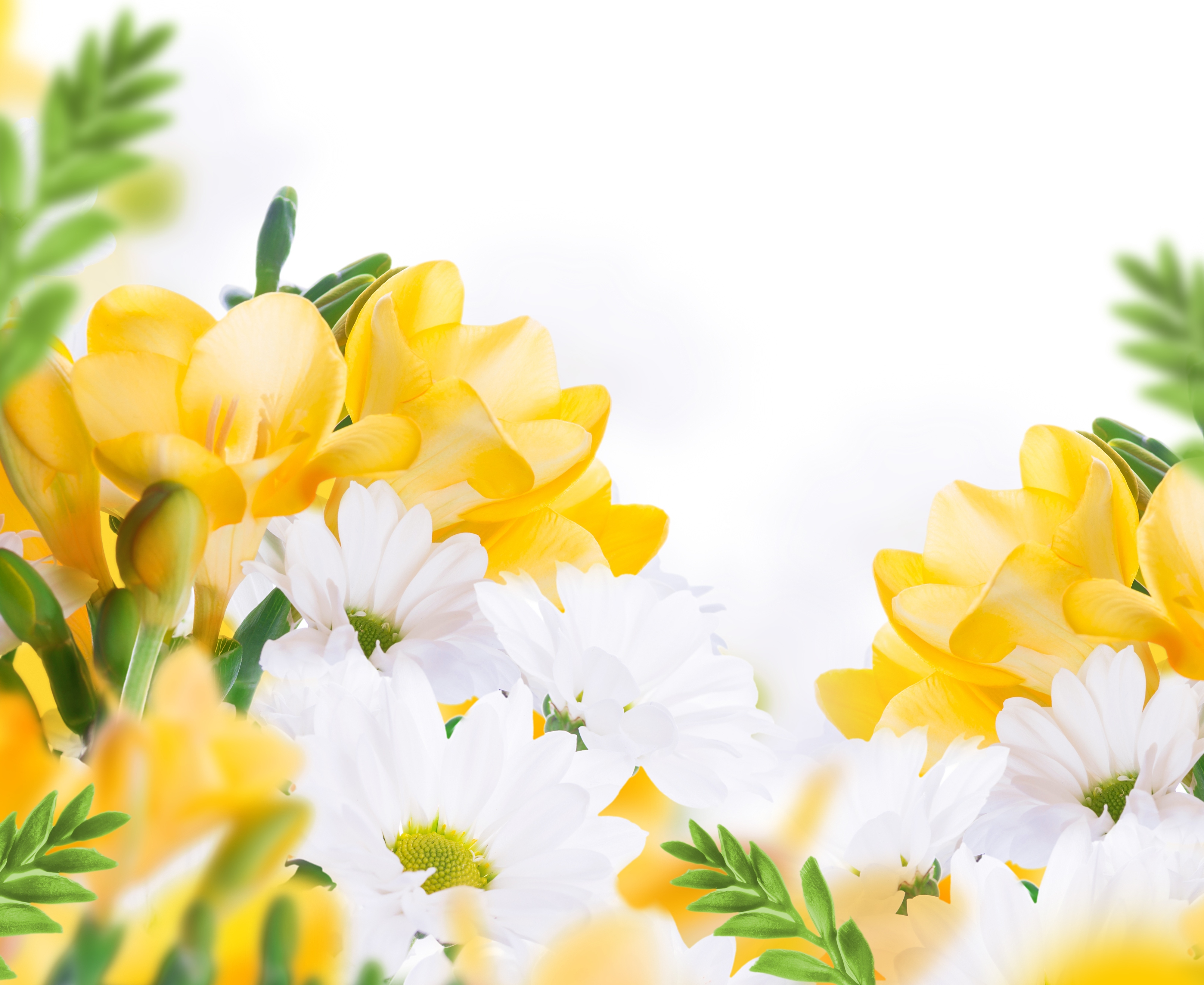 White Wallpaper With Yellow Flowers