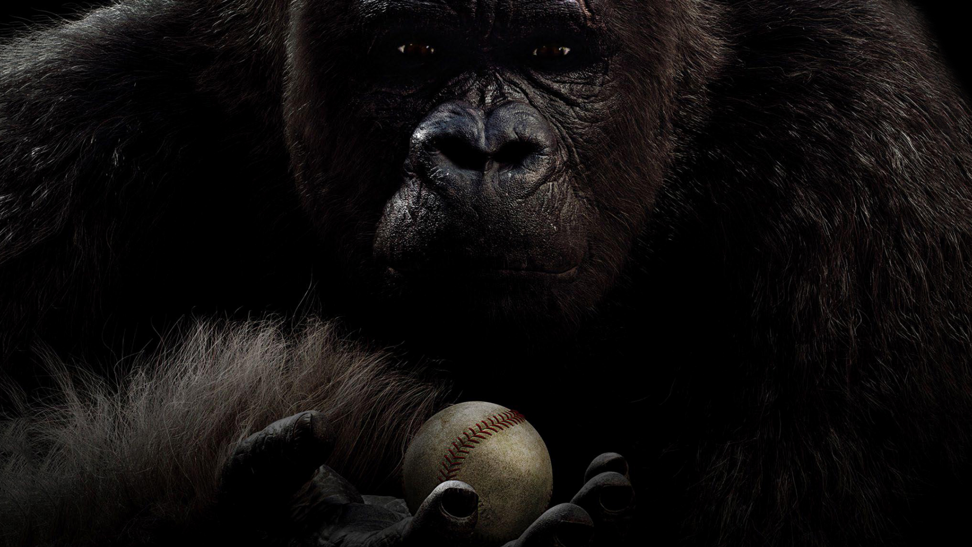 Mr. Go HD Wallpaper Background Image 1920x1080 ID807947