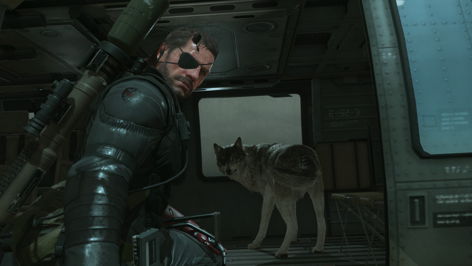 How Do I Get The Dog In Mgsv