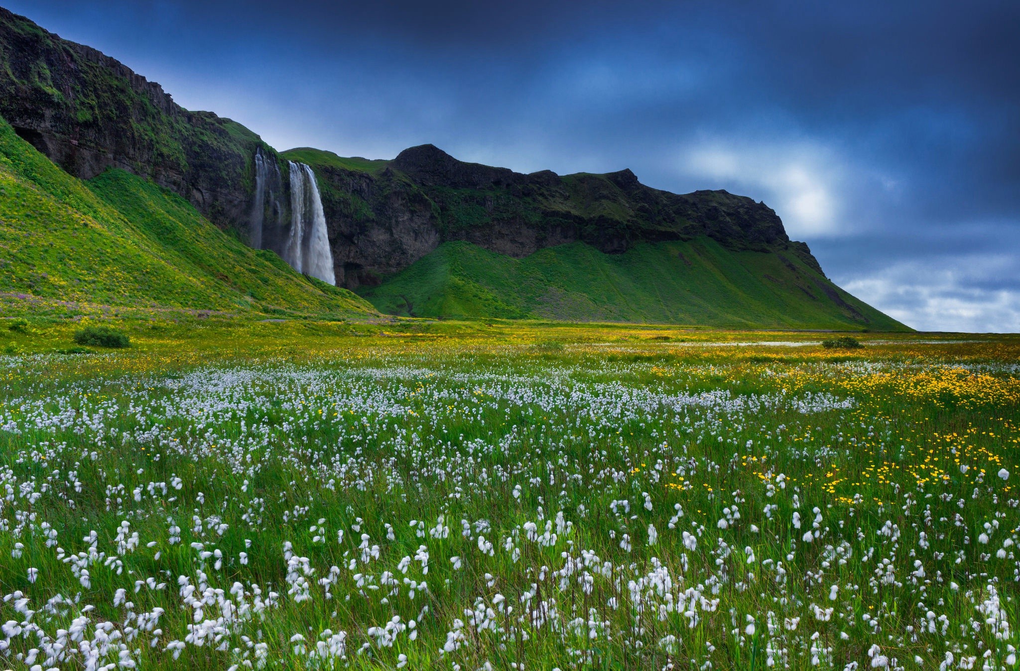 Download Mountain Flower Field Iceland Nature Seljalandsfoss HD Wallpaper