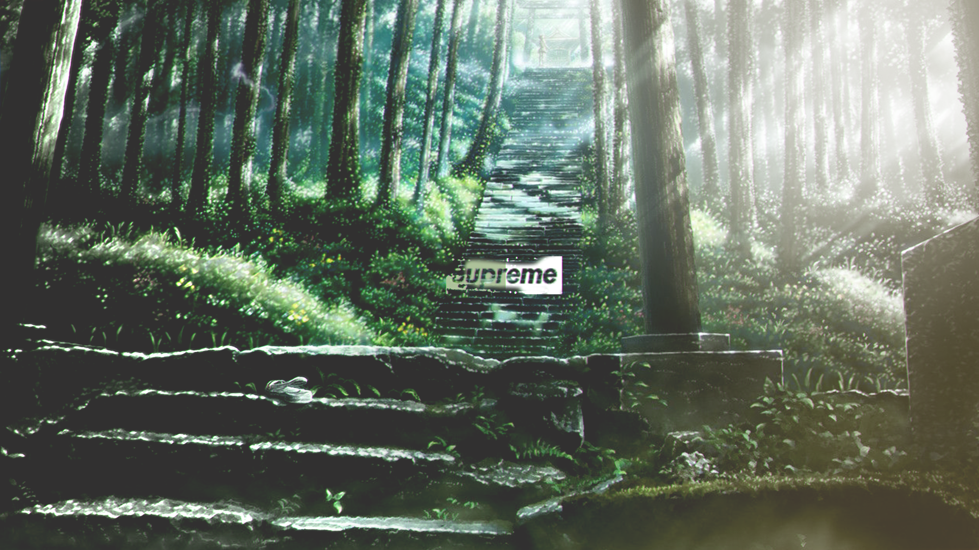 Wallpaper "Forest" Desktop Full HD Wallpaper HD Wallpaper Hintergrund