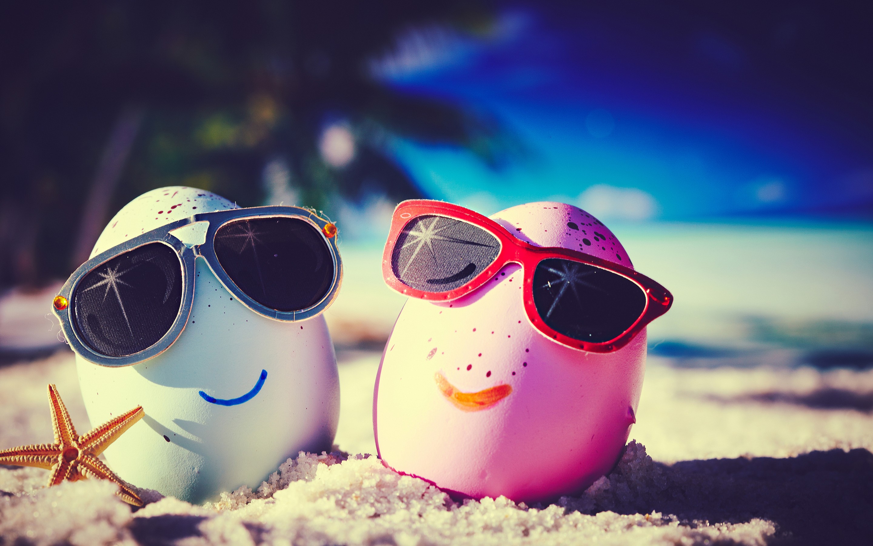 Download Sunglasses Summer Beach Funny Egg HD Wallpaper