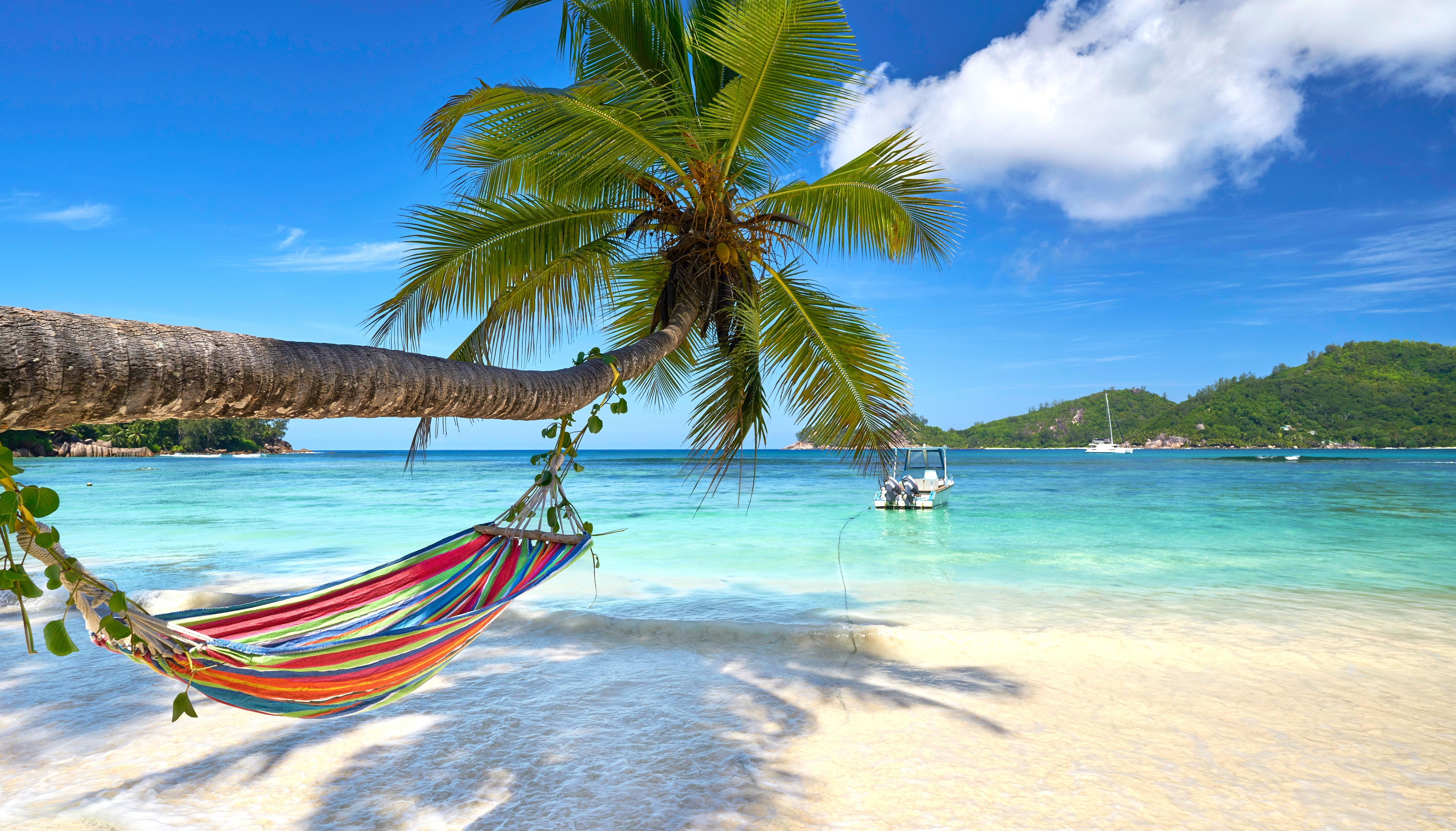 Hammock Attached to Palm Tree on Tropical Beach HD Wallpaper