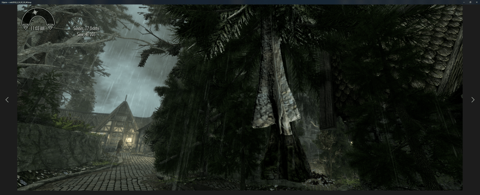 Dynamic Distant Objects LOD DynDOLOD for Skyrim and Enderal 2.98