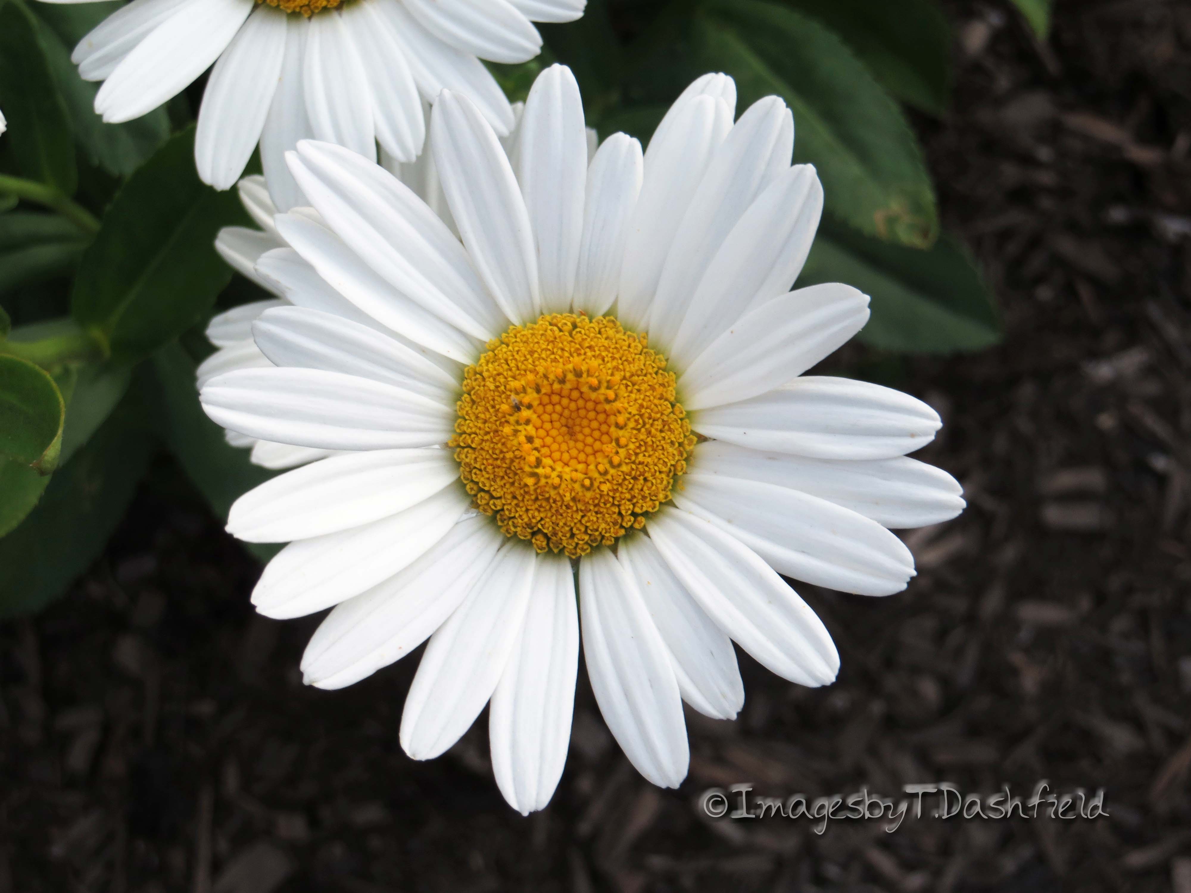 301 Moved Permanently