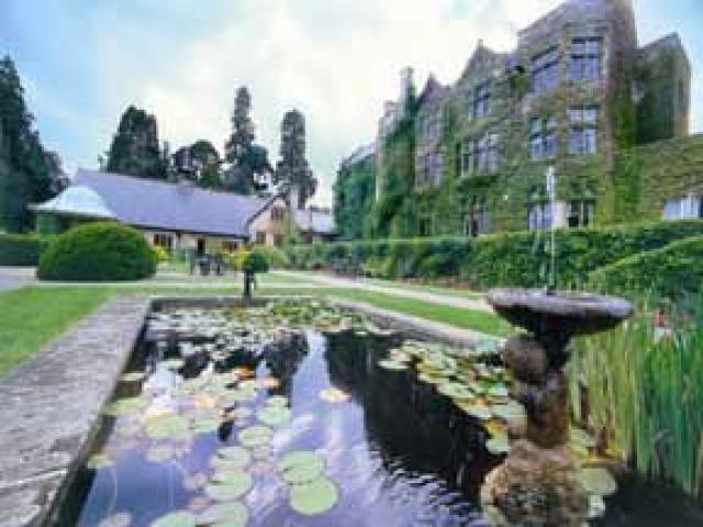 Unofficial England Rugby Union England back at Pennyhill Park