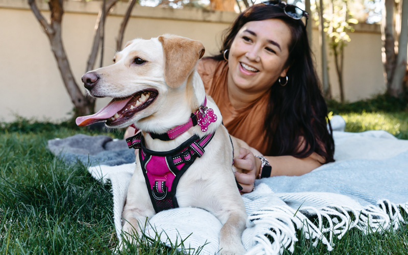 Pets Best Accident Insurance Affordable Coverage For Any Age Pet