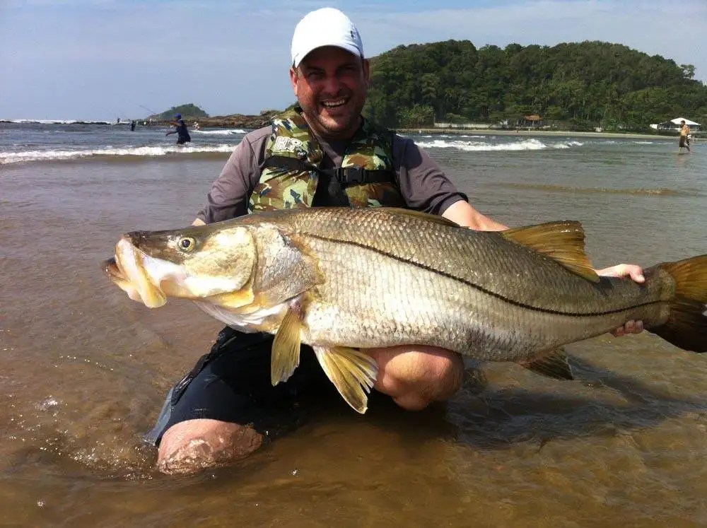 Snook Page 3 Costa Rica Fishing Report from FishingNosara