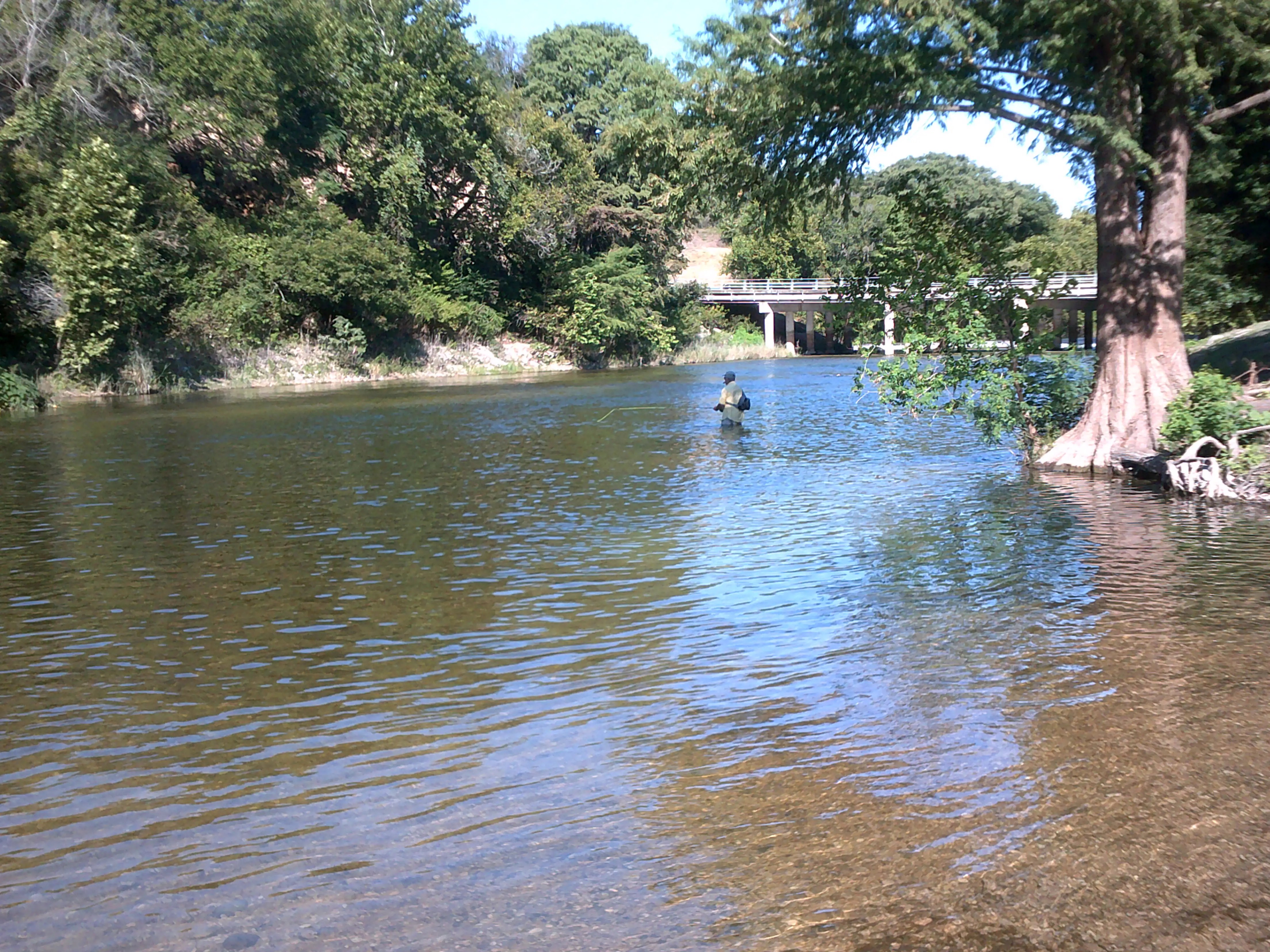 The Peaceful Guadalupe River! Texas Fishing Forum