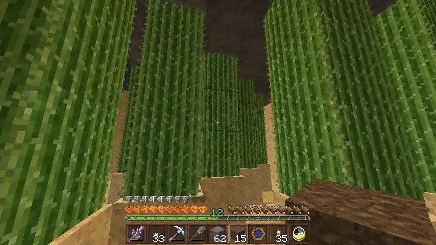 Zeno's Explorations and Mod Development Survival Mode Minecraft