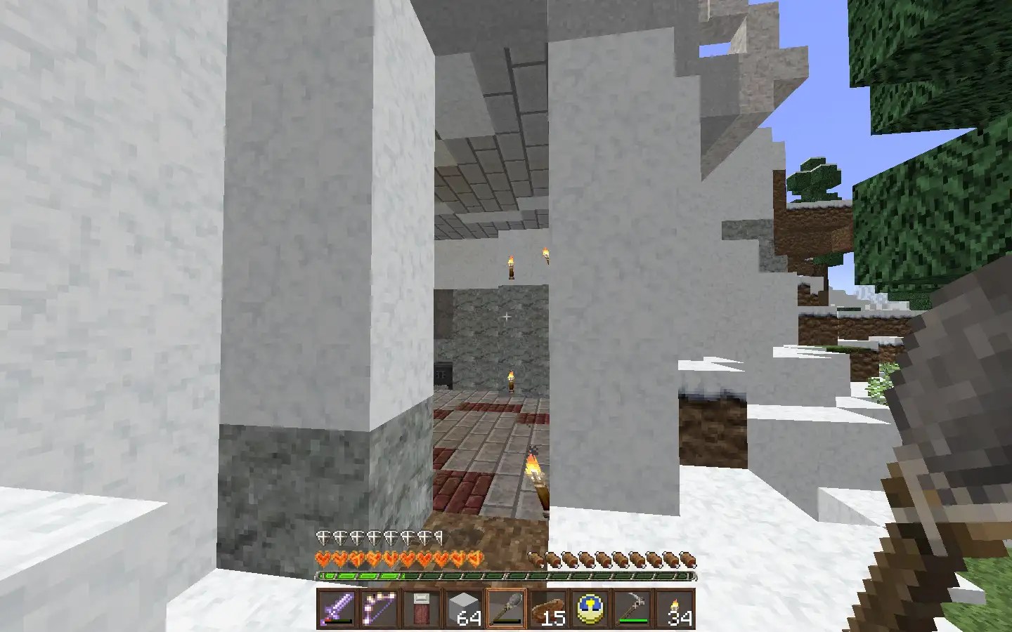 Zeno's Explorations, Ep. 20 Establishing Essentia Essentials