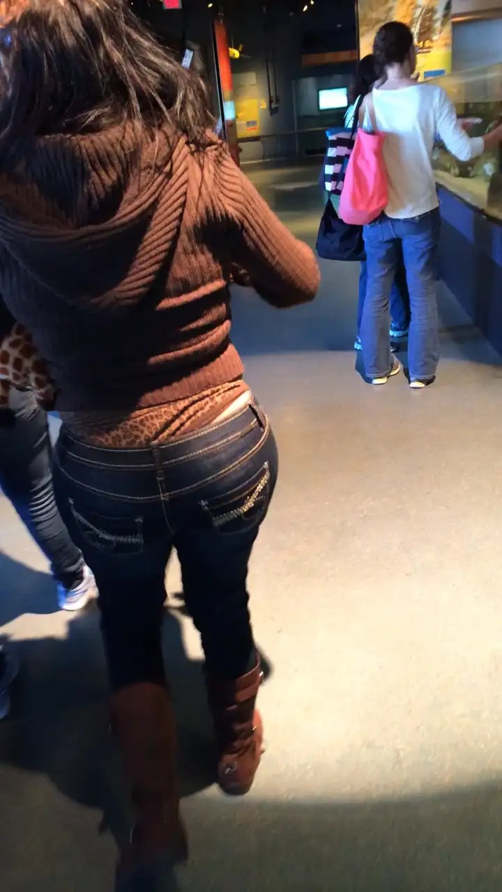 Bodysuit Whaletail Whale Tail Forum