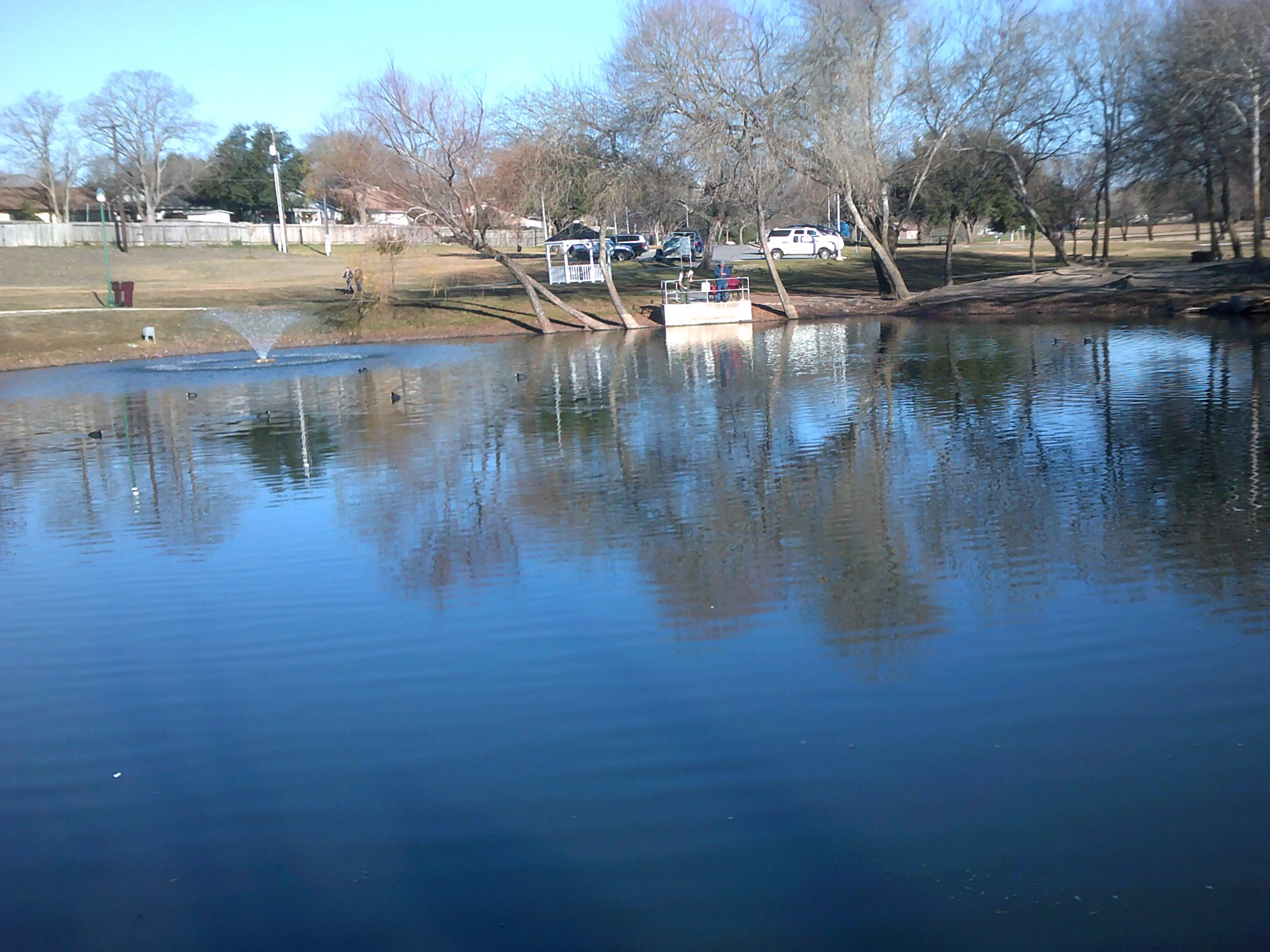 Limit on Live Oak Lake! Bluegill / Sunfish Texas Fishing Forum