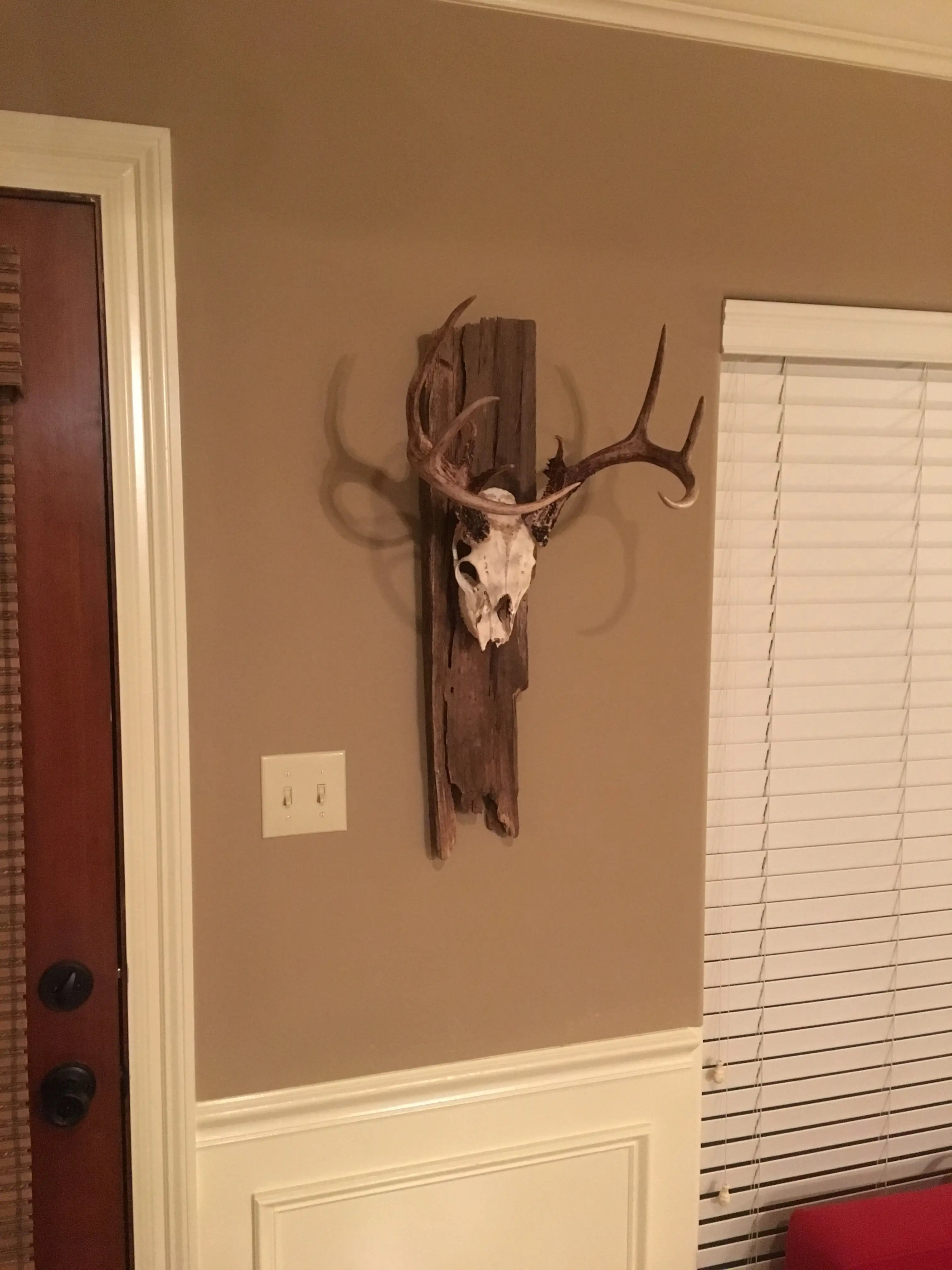 Skull mount kit Outdoor Board