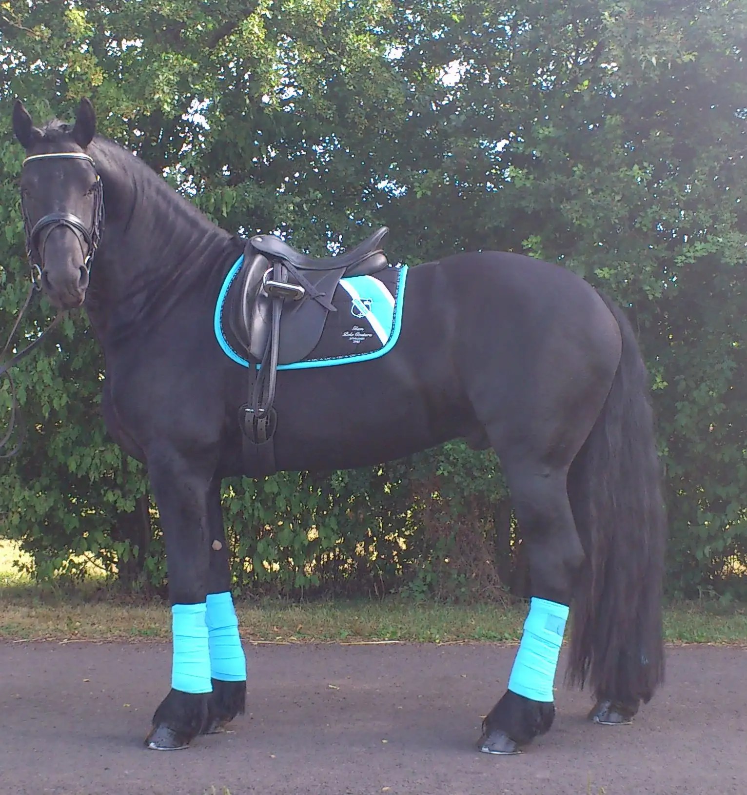 HV Polo Kollektion Seite 220