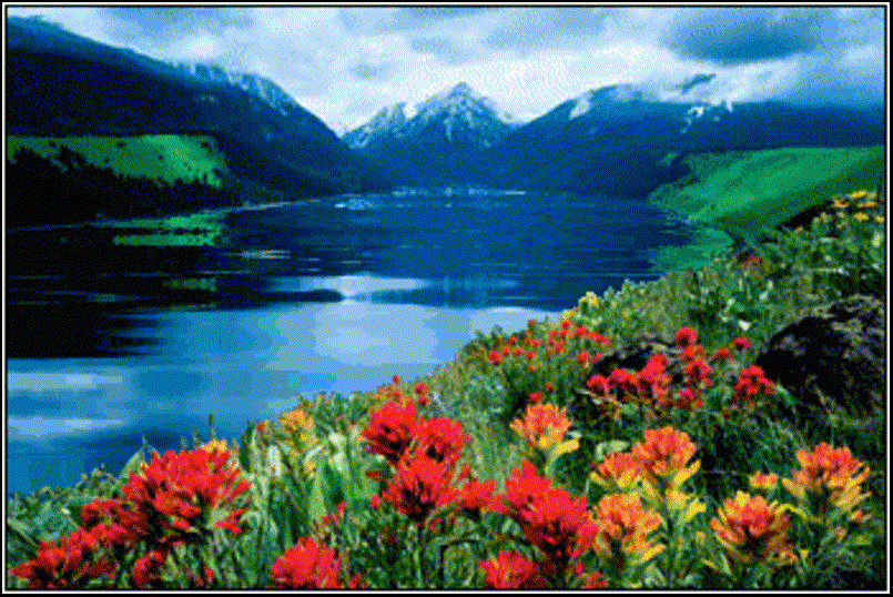 Download Nature Gif Background Hd PNG & GIF BASE