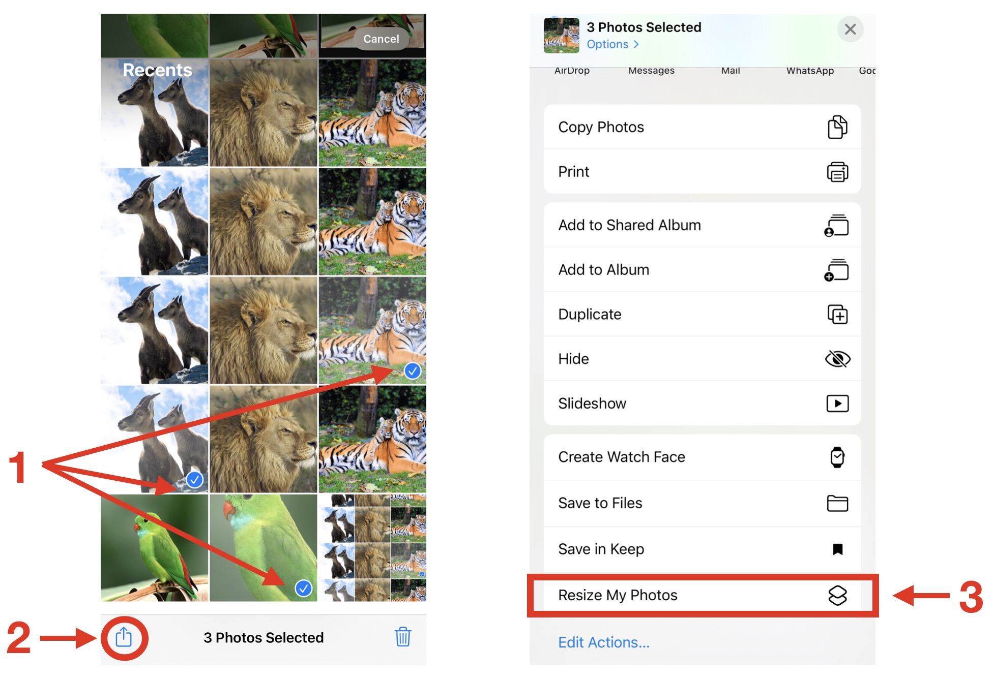 How to Easily Resize Photos on Your iPhone in 4 Different Ways