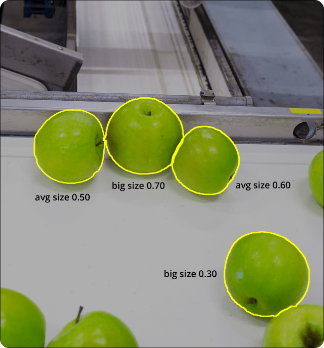 Dimension Detection with Vision AI ImageVision.ai